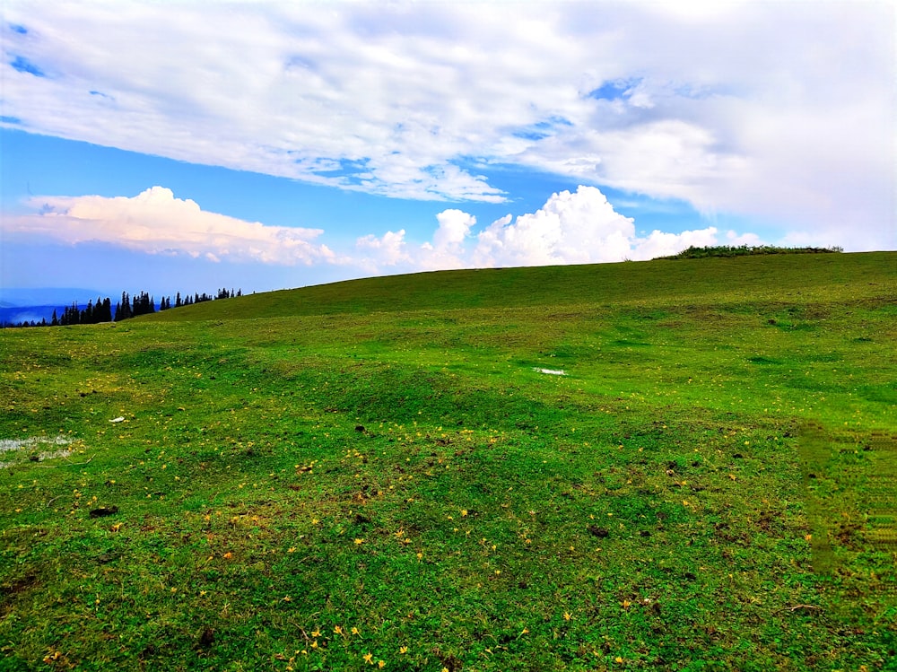 a grassy hill with trees and clouds in the background
