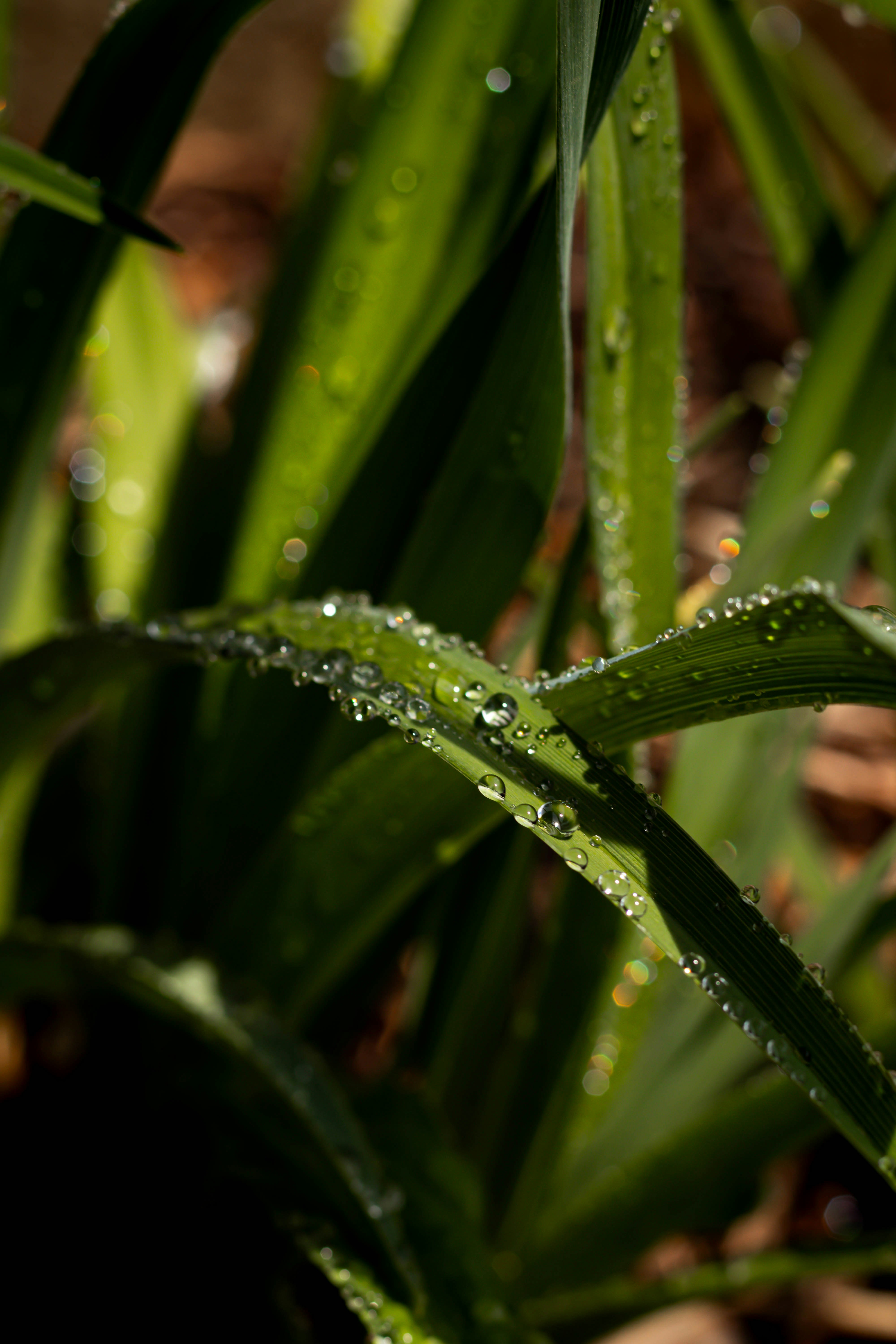 Photo by something_else