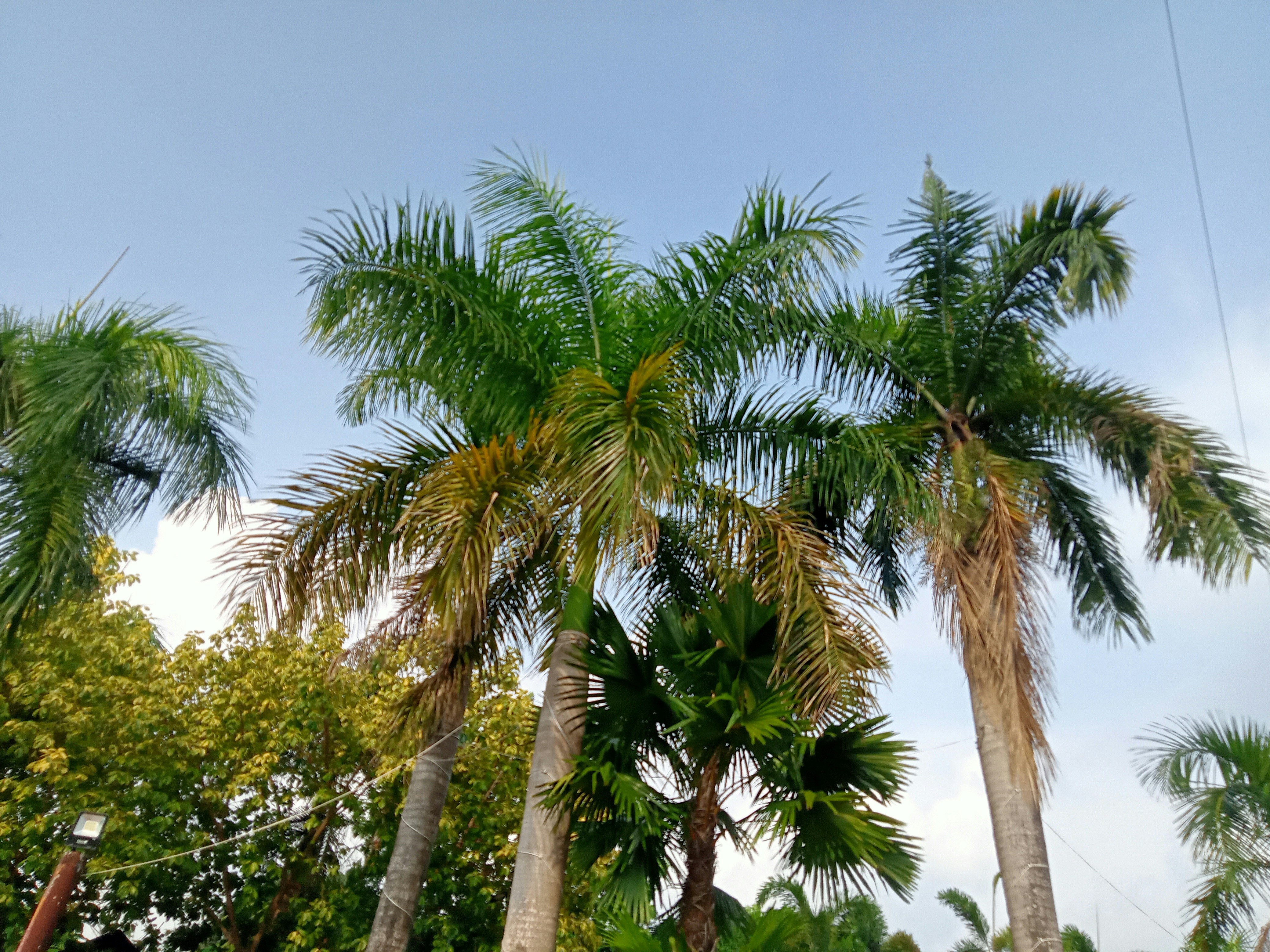 Photo by nephophile_37