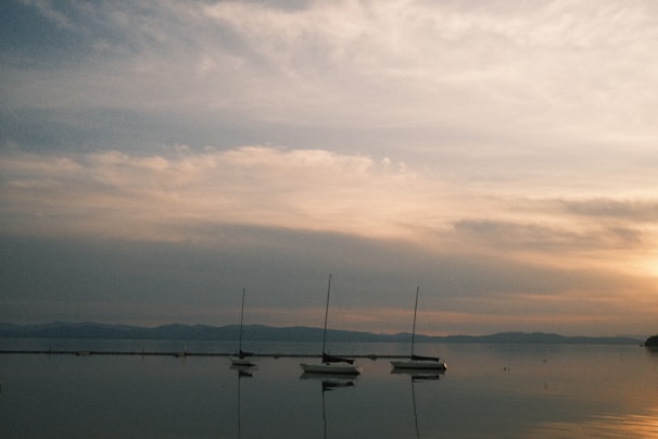 A serene view of sailboats gently rocking on Bear Lake at sunset, with pine trees lining the shore.