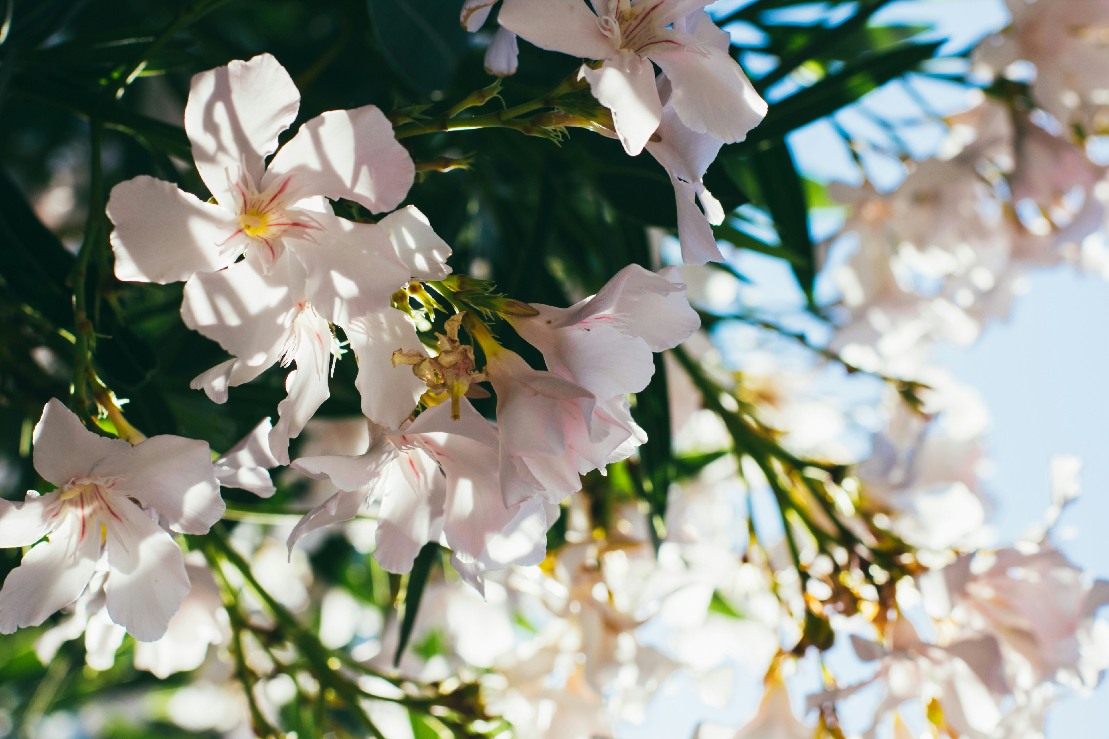 Photo by romanvolkov