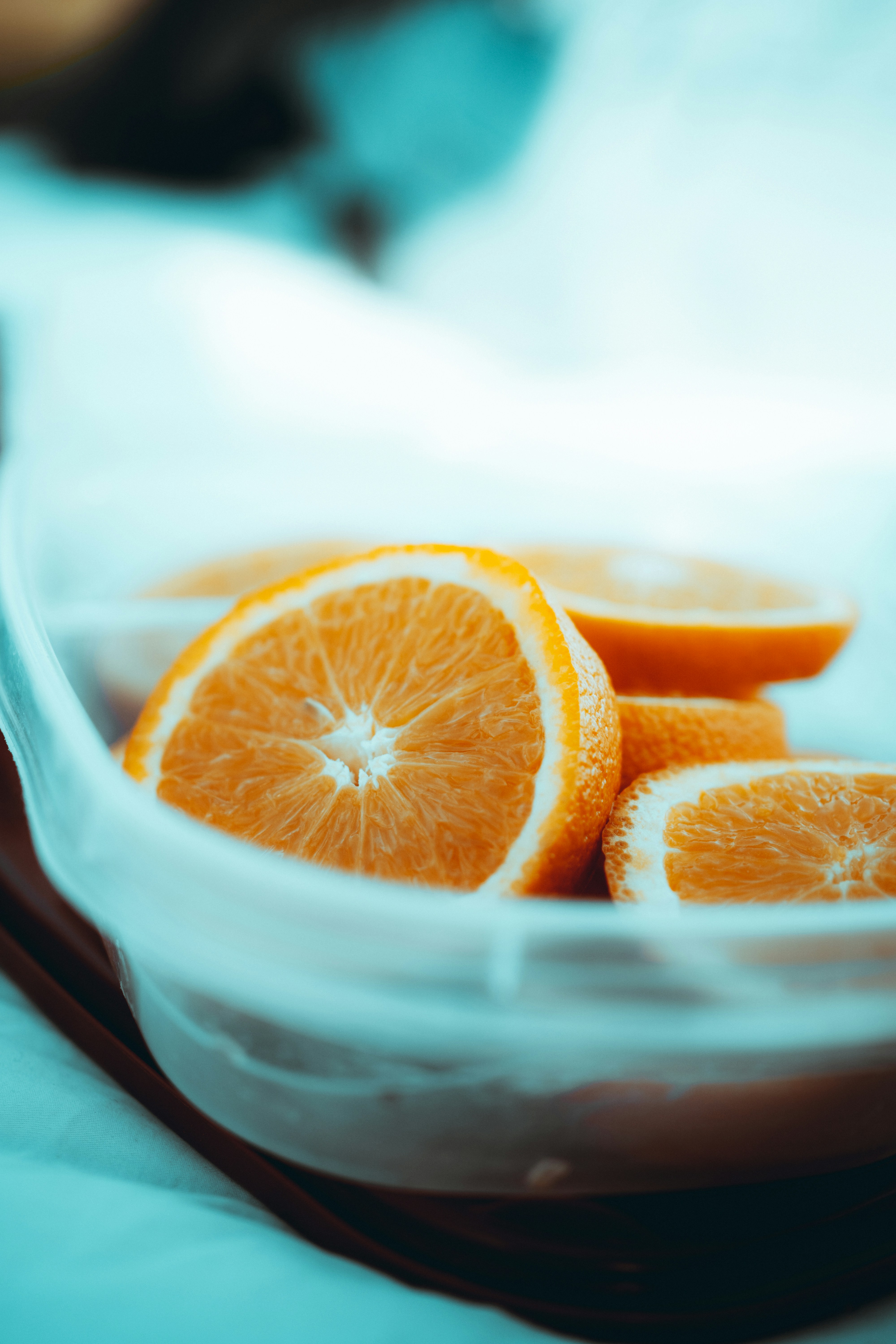 ¿Mi perro puede comer naranja?