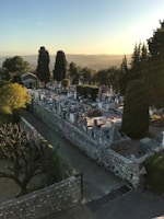 A serene cemetery surrounded by lush greenery and tall trees under a clear blue sky during sunset. Well-maintained graves and tombstones line a stone path, with a small chapel visible in the distance. The scene is tranquil, with soft, warm lighting from the setting sun casting long shadows.