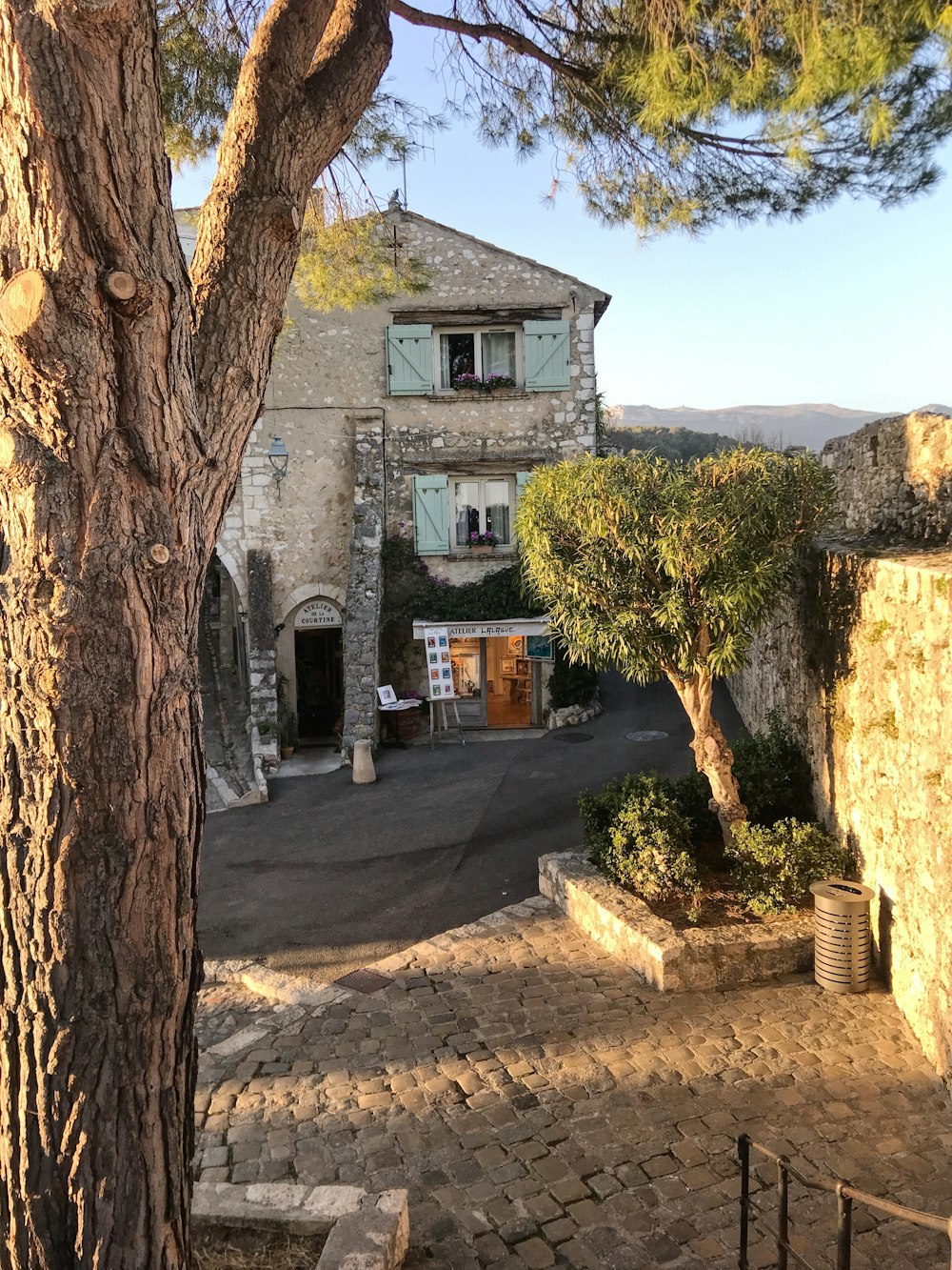 a tree in front of a stone building