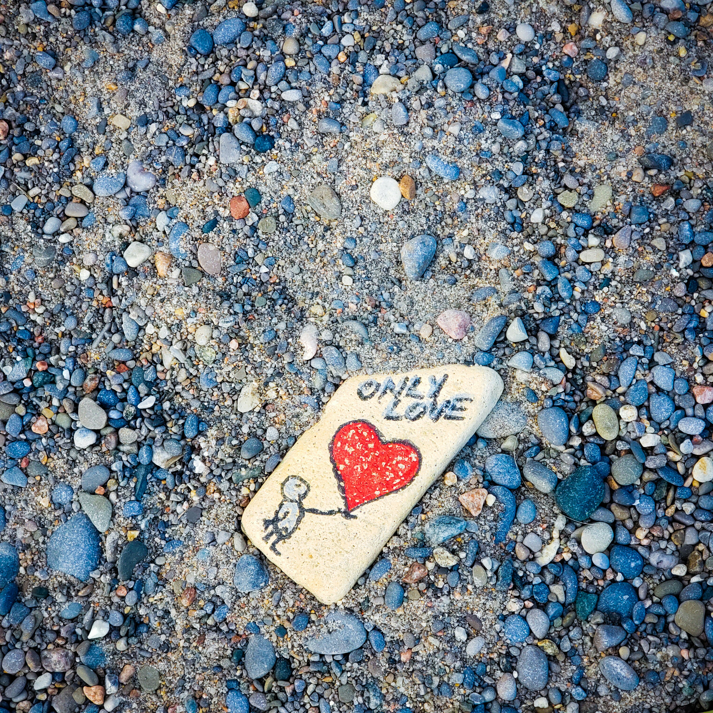 photo-1684509065058-81fc7cd35855