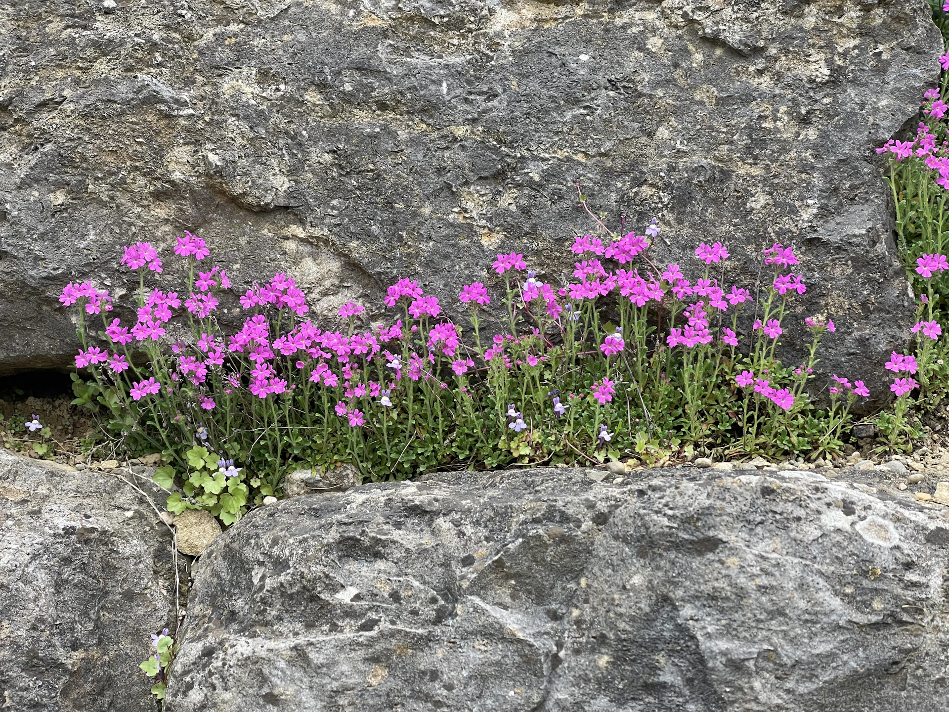 woman wearing yellow long-sleeved dress under white clouds and blue sky during daytime