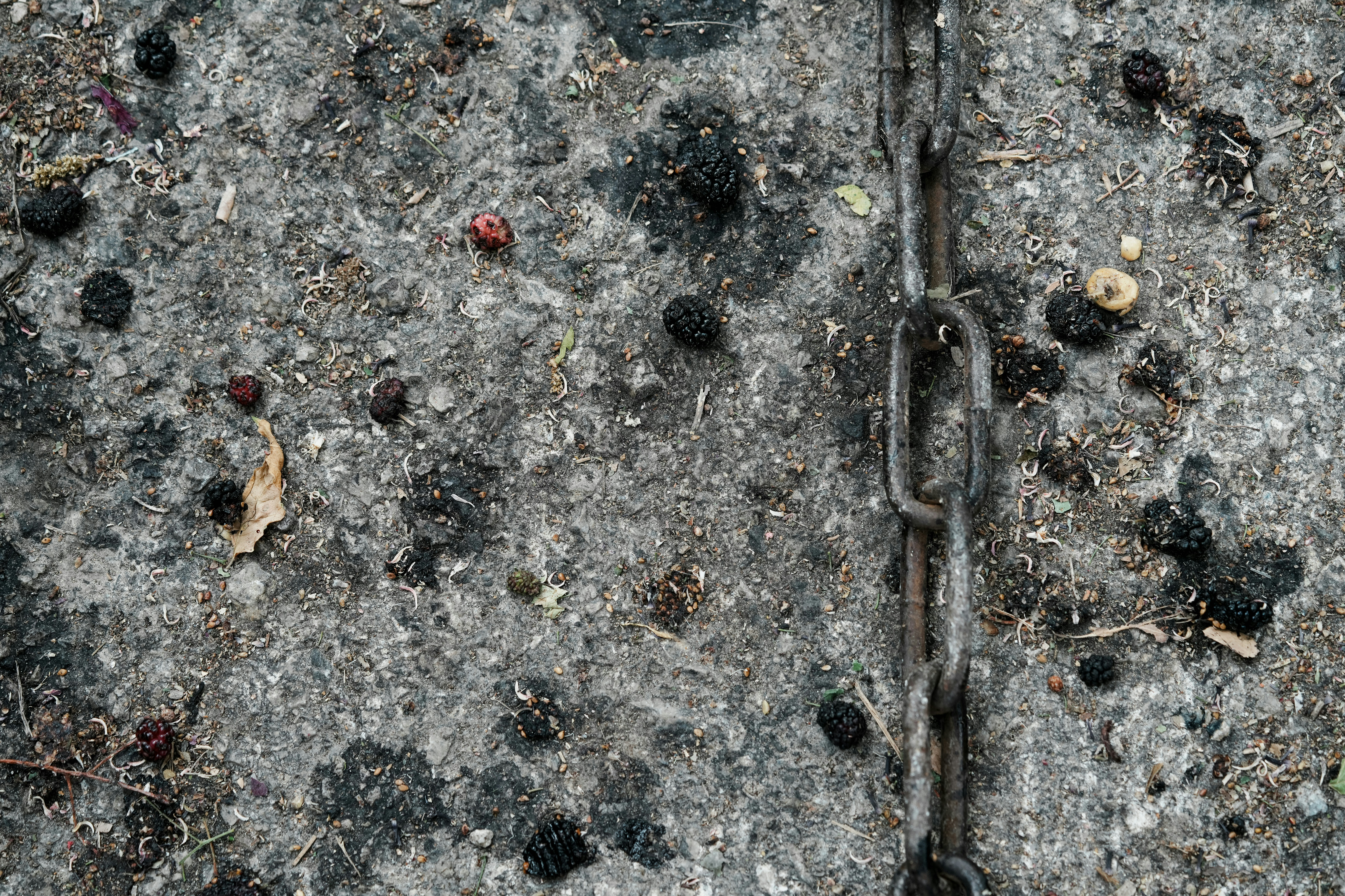 Photo by anyachernykh