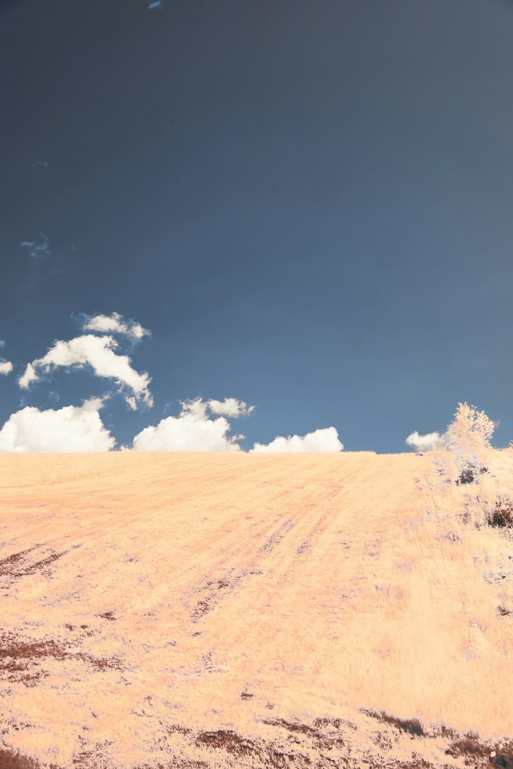 a dirt road with a sky background