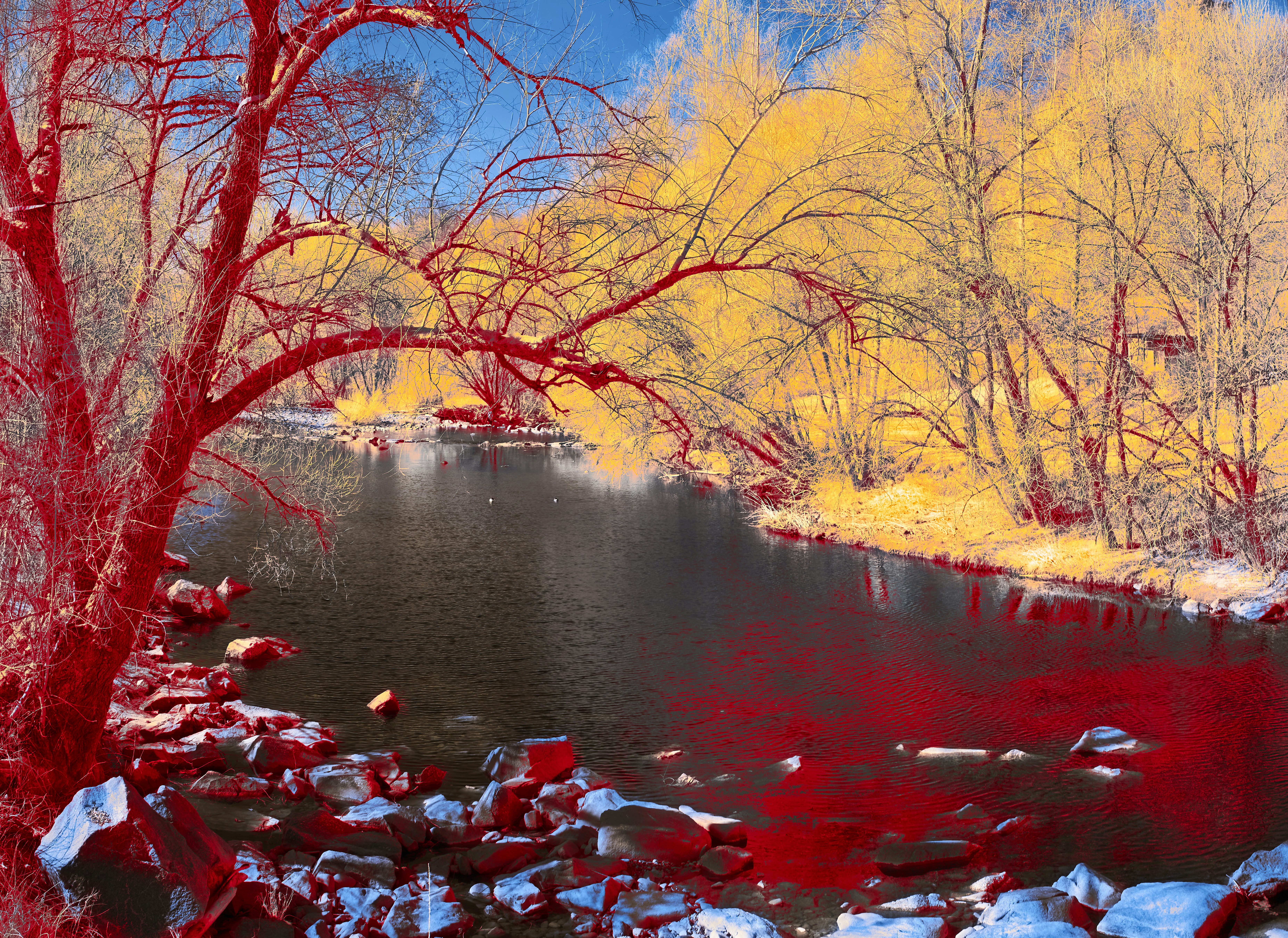 Photo by wolfgang_hasselmann