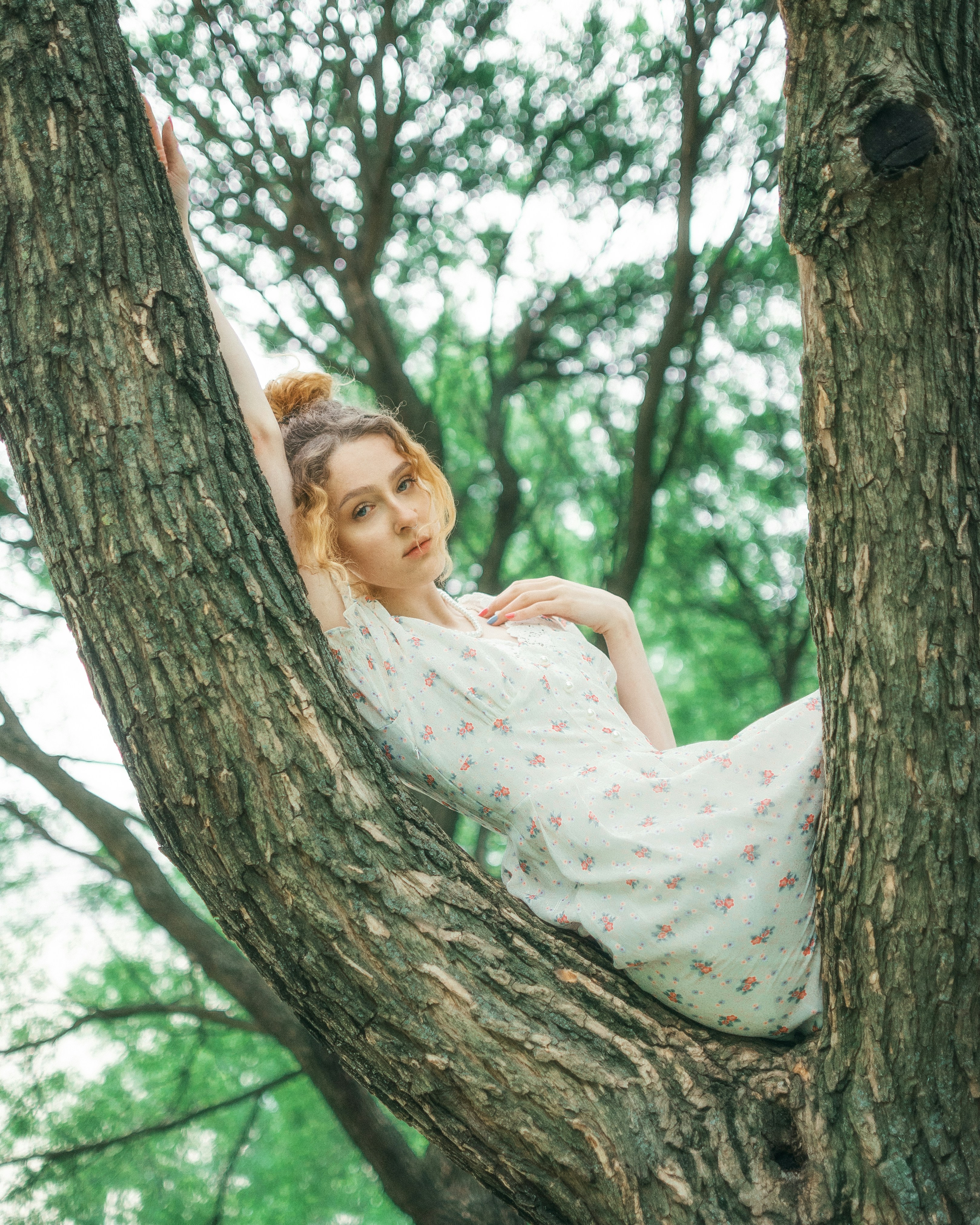 Photo by aceafel