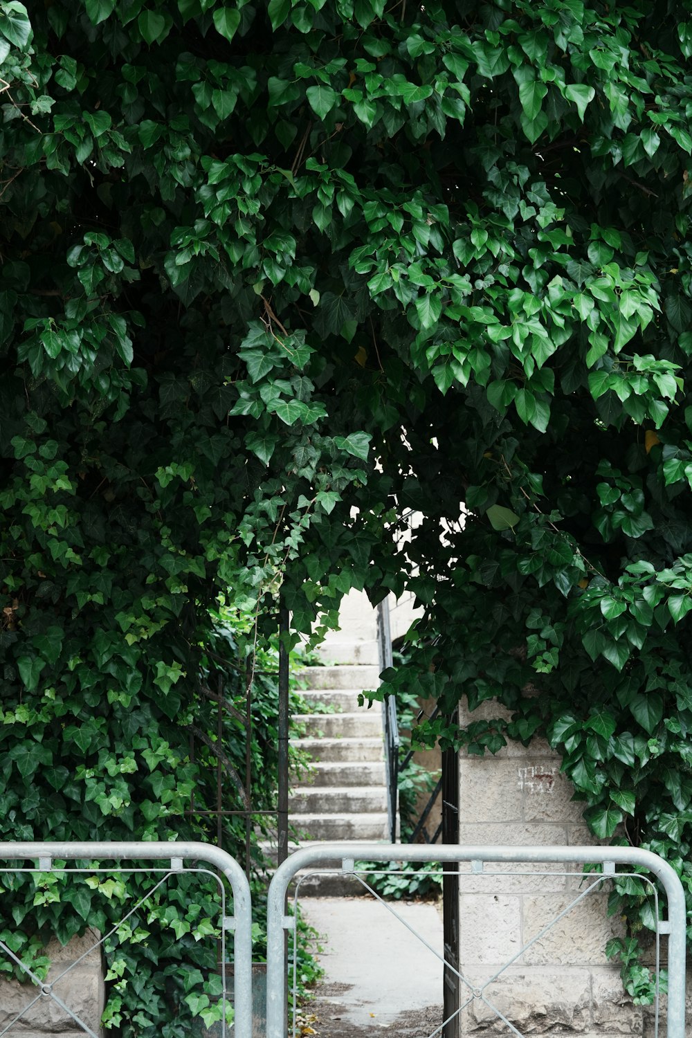 a stairway is surrounded by green trees and bushes