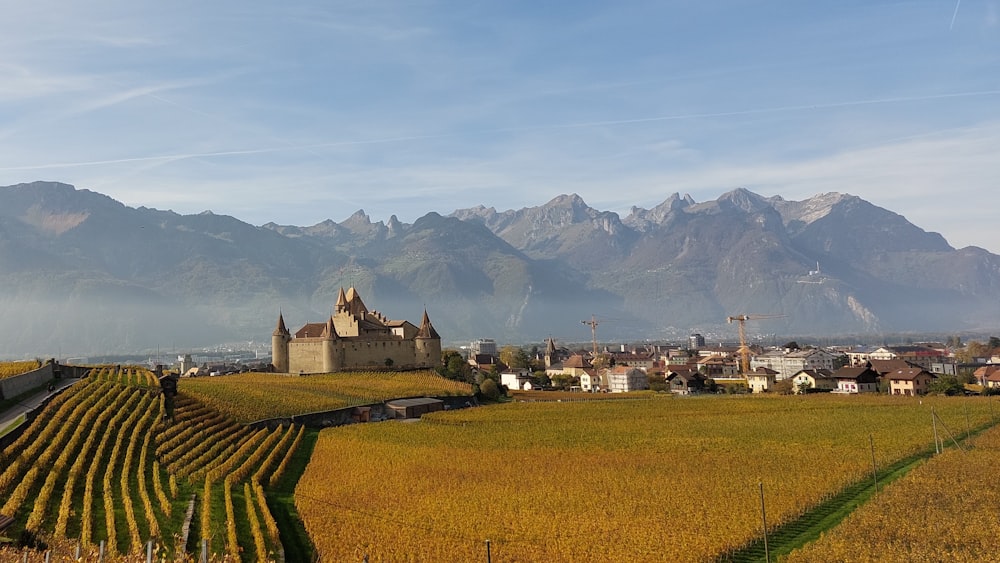 a castle in the middle of a field with mountains in the background