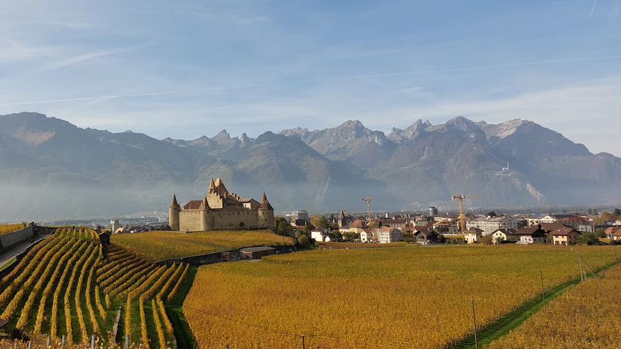 Photographie illustrative — Château & domaine, aucun établissement identifié