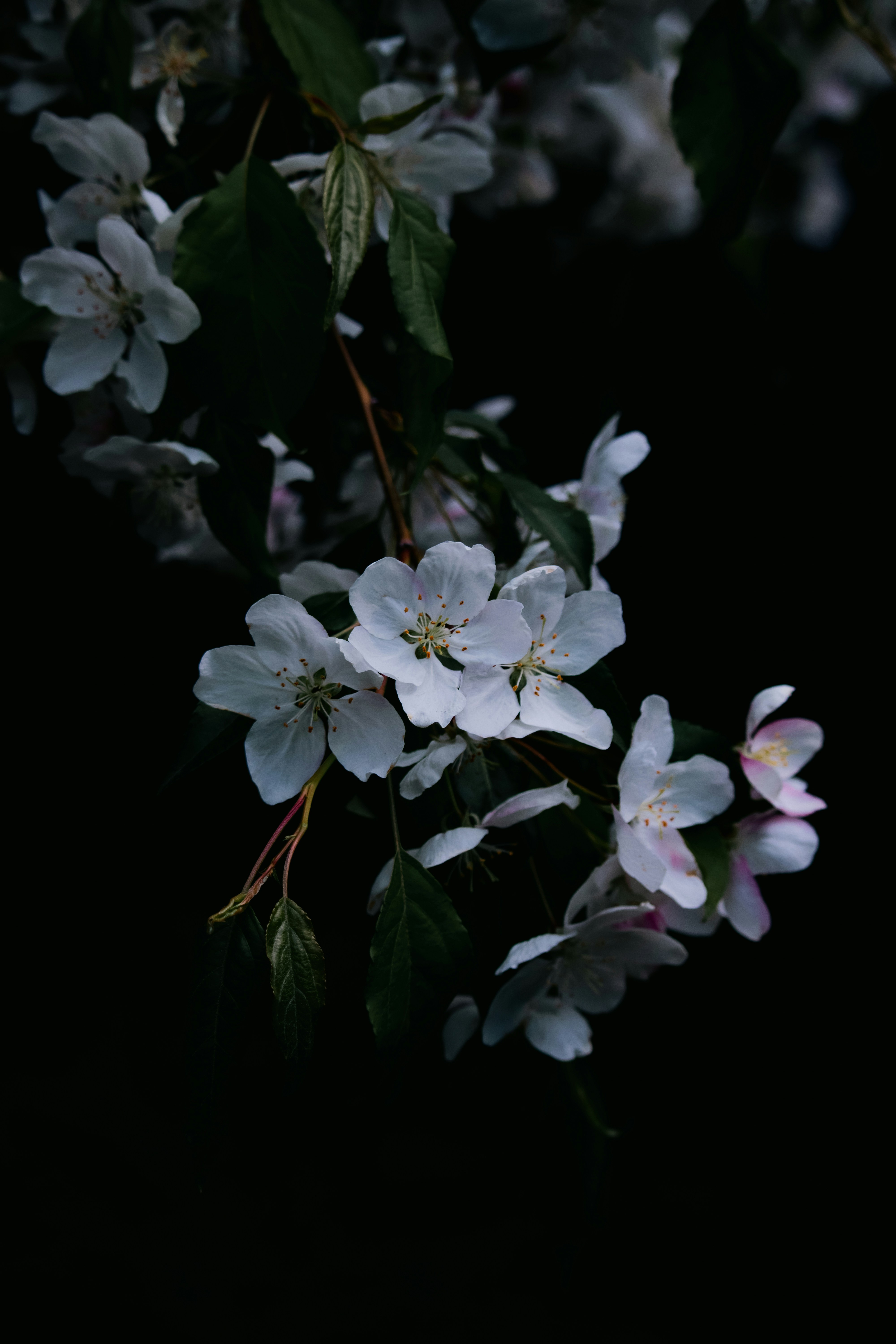 Photo by sinabahar76