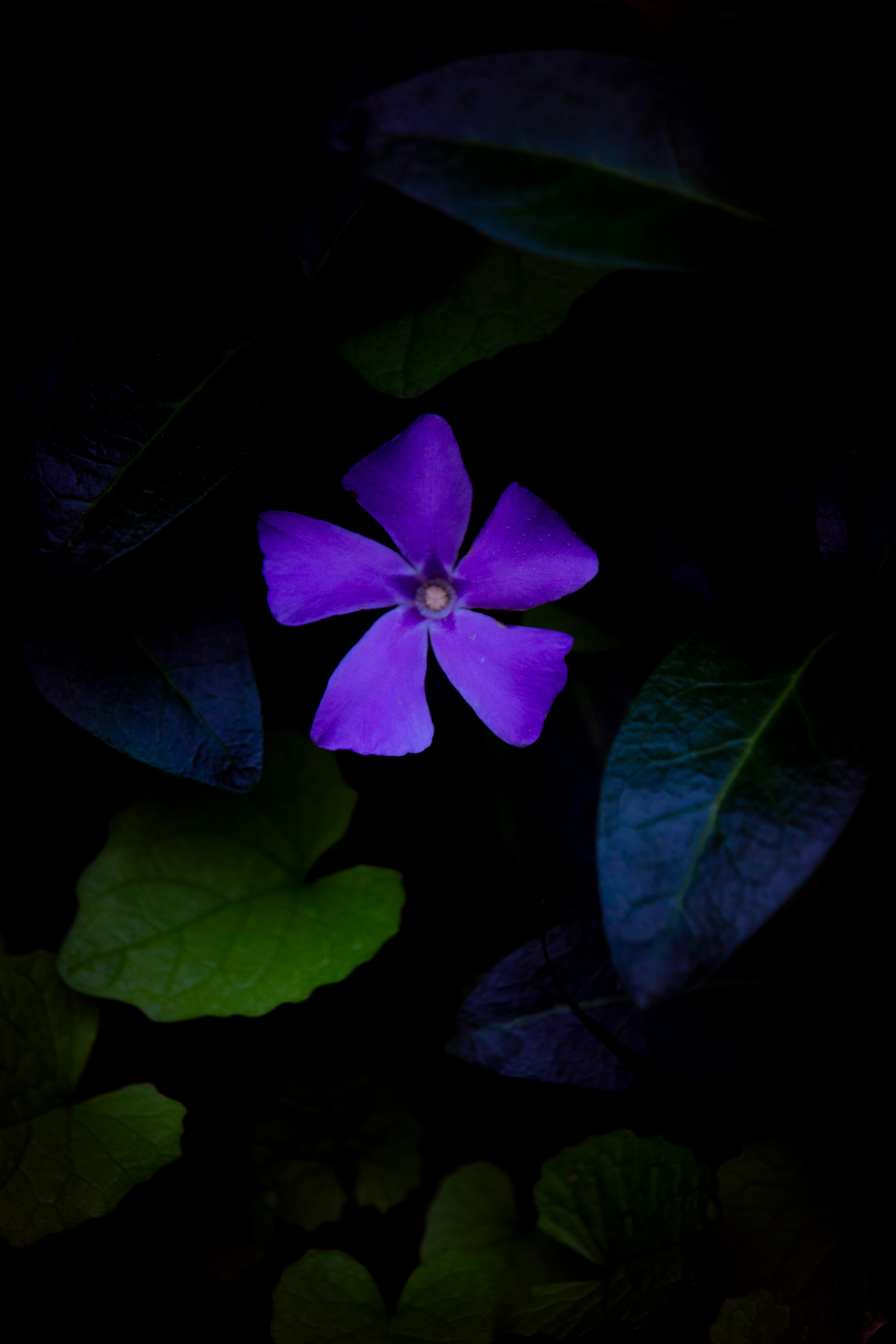 Photo by sinabahar76