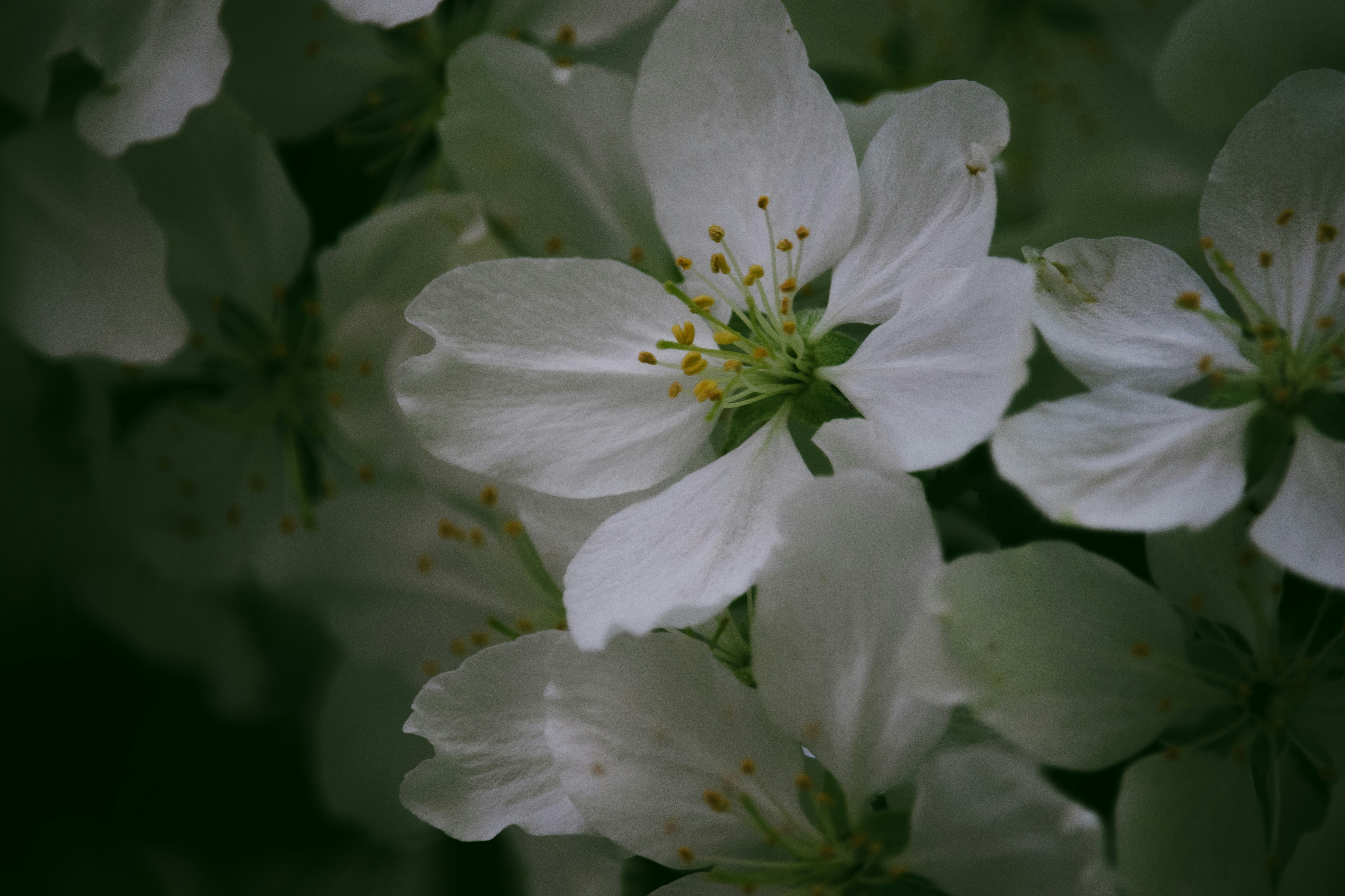 Photo by sinabahar76