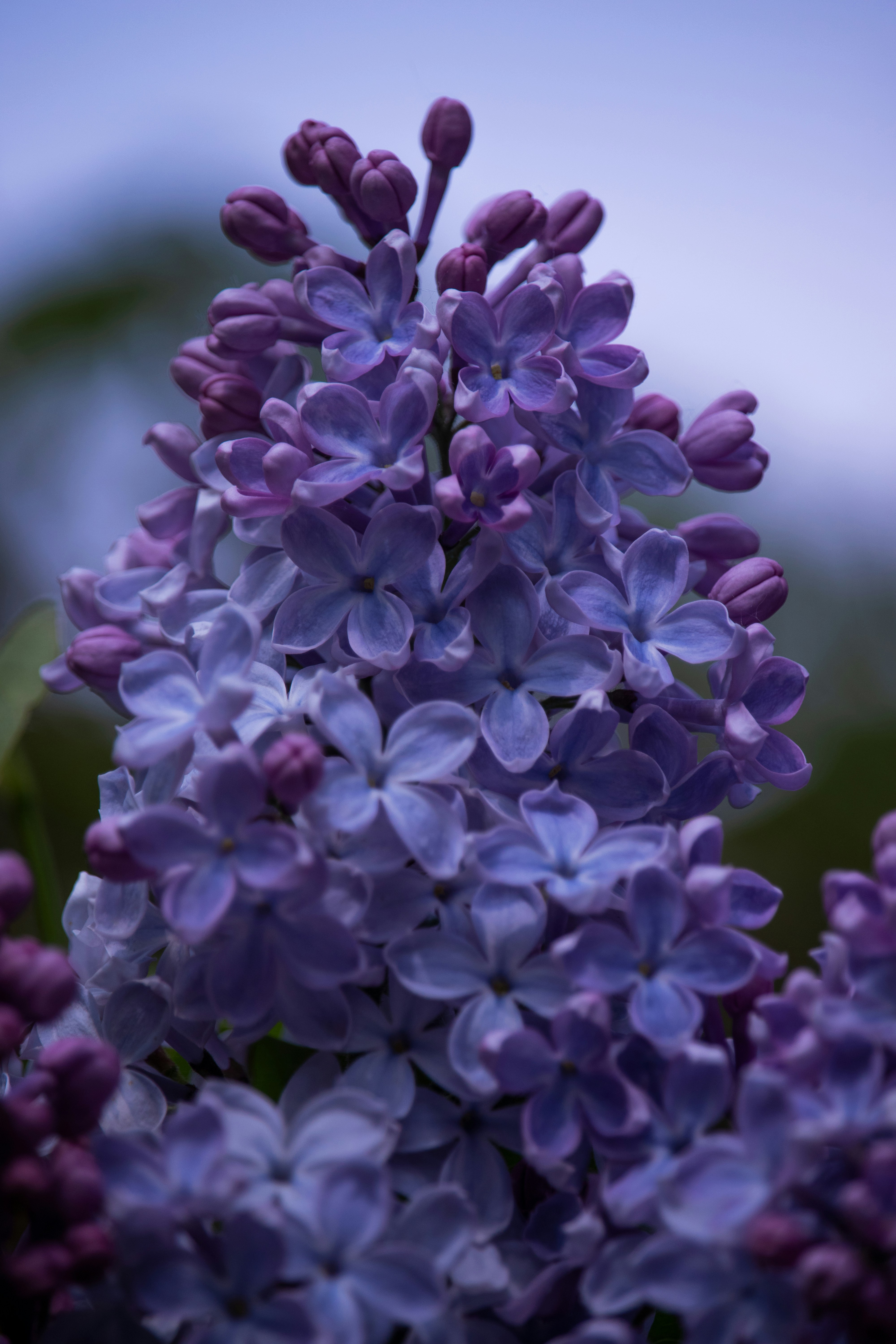 Photo by sinabahar76