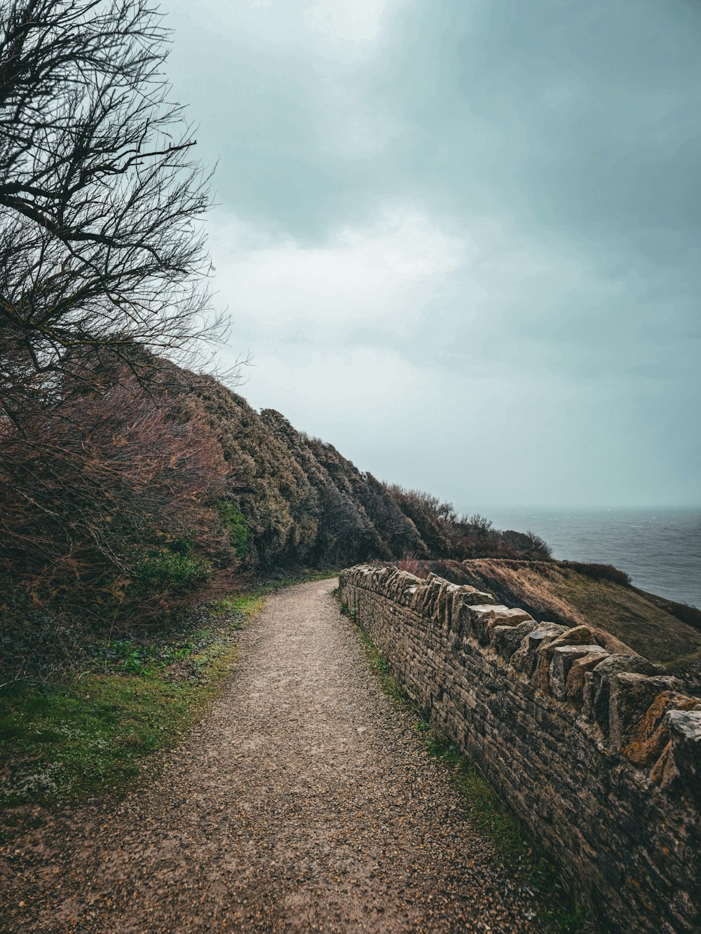 a path leading to the ocean on a cloudy day