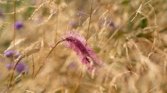 A close-up of wildflowers swaying in a gentle breeze.