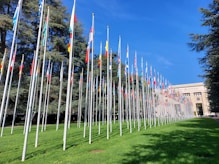 a row of flags in front of a building