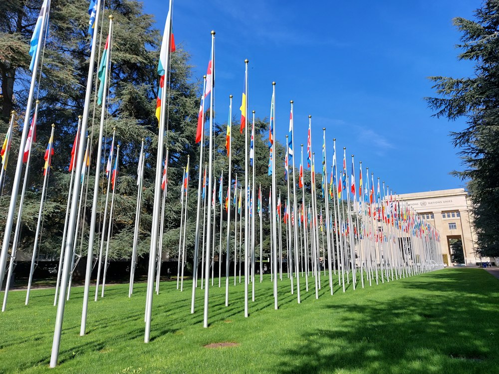 Illustrative flags in Geneva