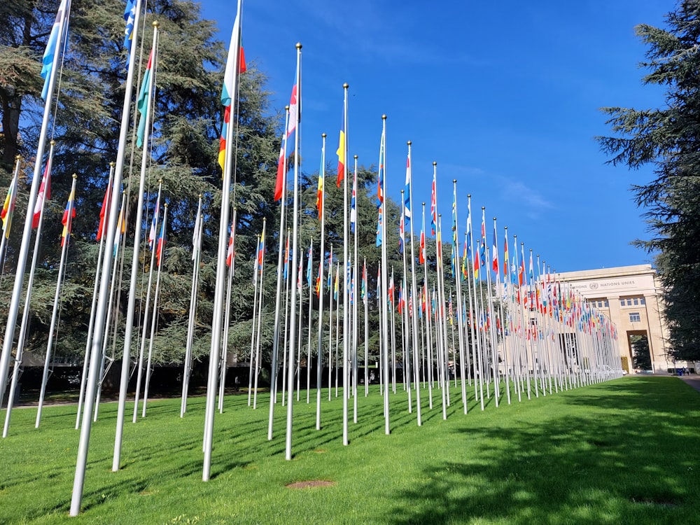 a row of flags in front of a building