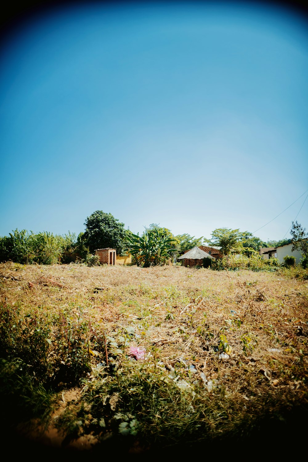 a grassy field with a house in the distance