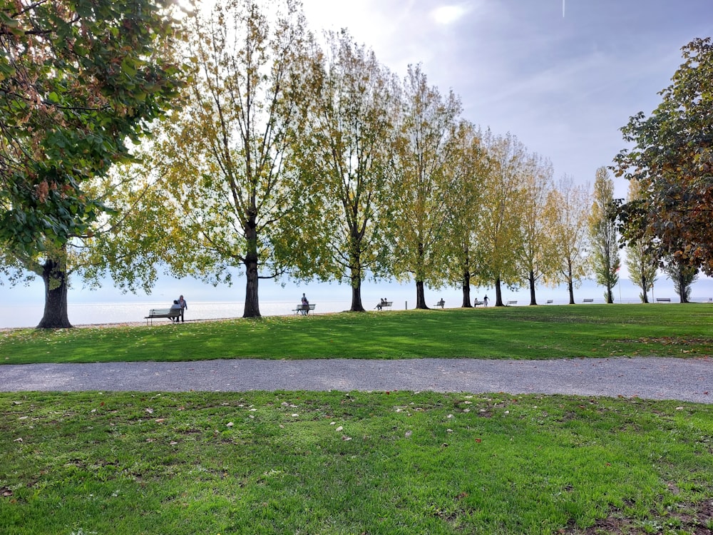 a couple of people sitting on a bench in a park