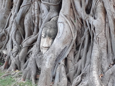 A serene family tree sculpture symbolizing deep roots and lasting legacy.