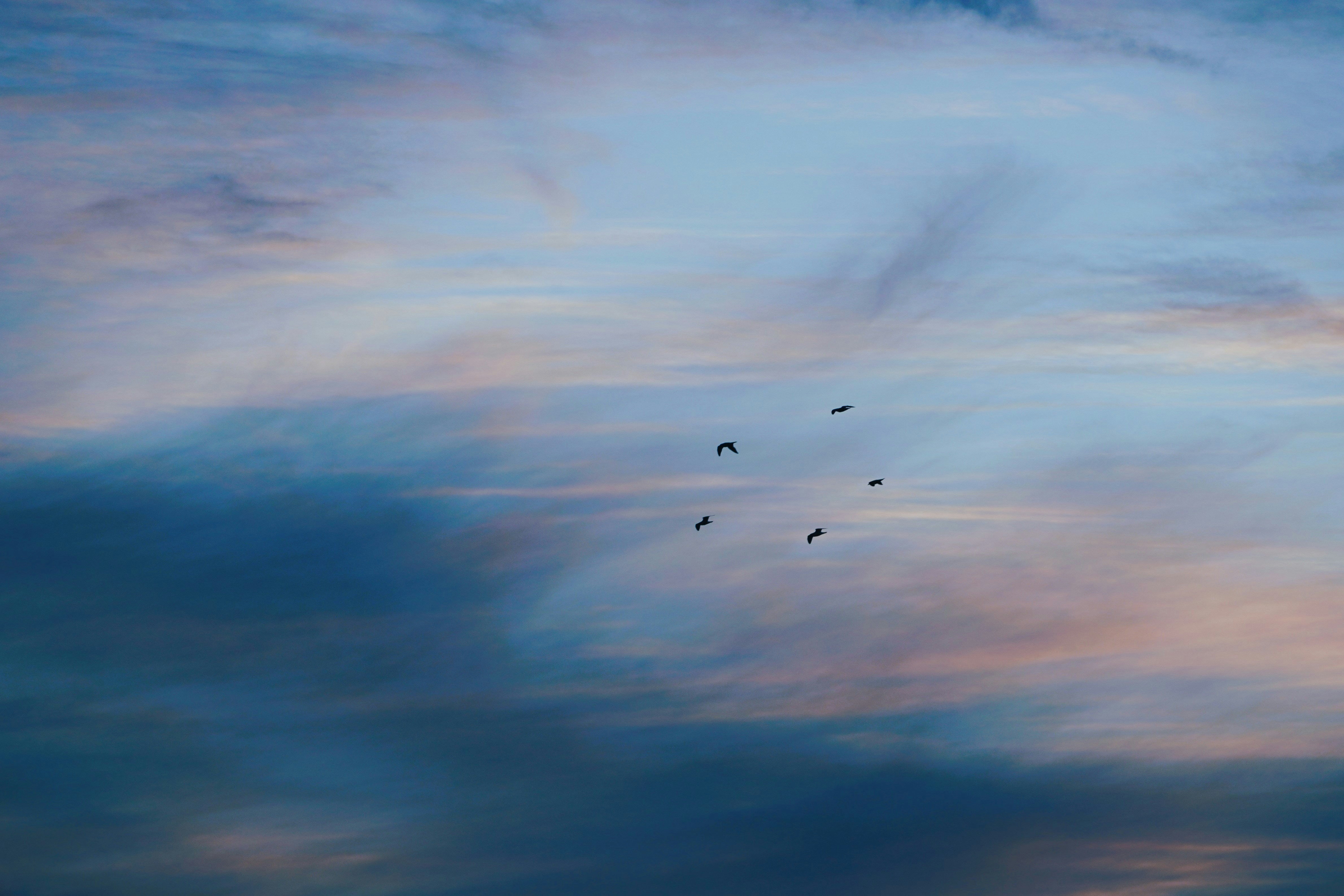 Photo by meinayin