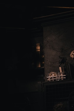 A dimly lit room filled with old books and eerie artifacts.