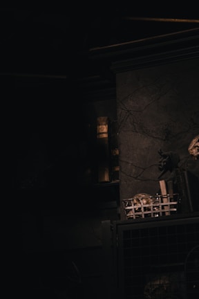 A dimly lit, mysterious interior with eerie shadows. The wall has a cracked texture, and there is a mesh basket containing unidentified objects. A bookshelf with old volumes is partially visible, casting an ambient glow.