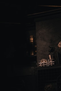A dimly lit, mysterious interior with eerie shadows. The wall has a cracked texture, and there is a mesh basket containing unidentified objects. A bookshelf with old volumes is partially visible, casting an ambient glow.