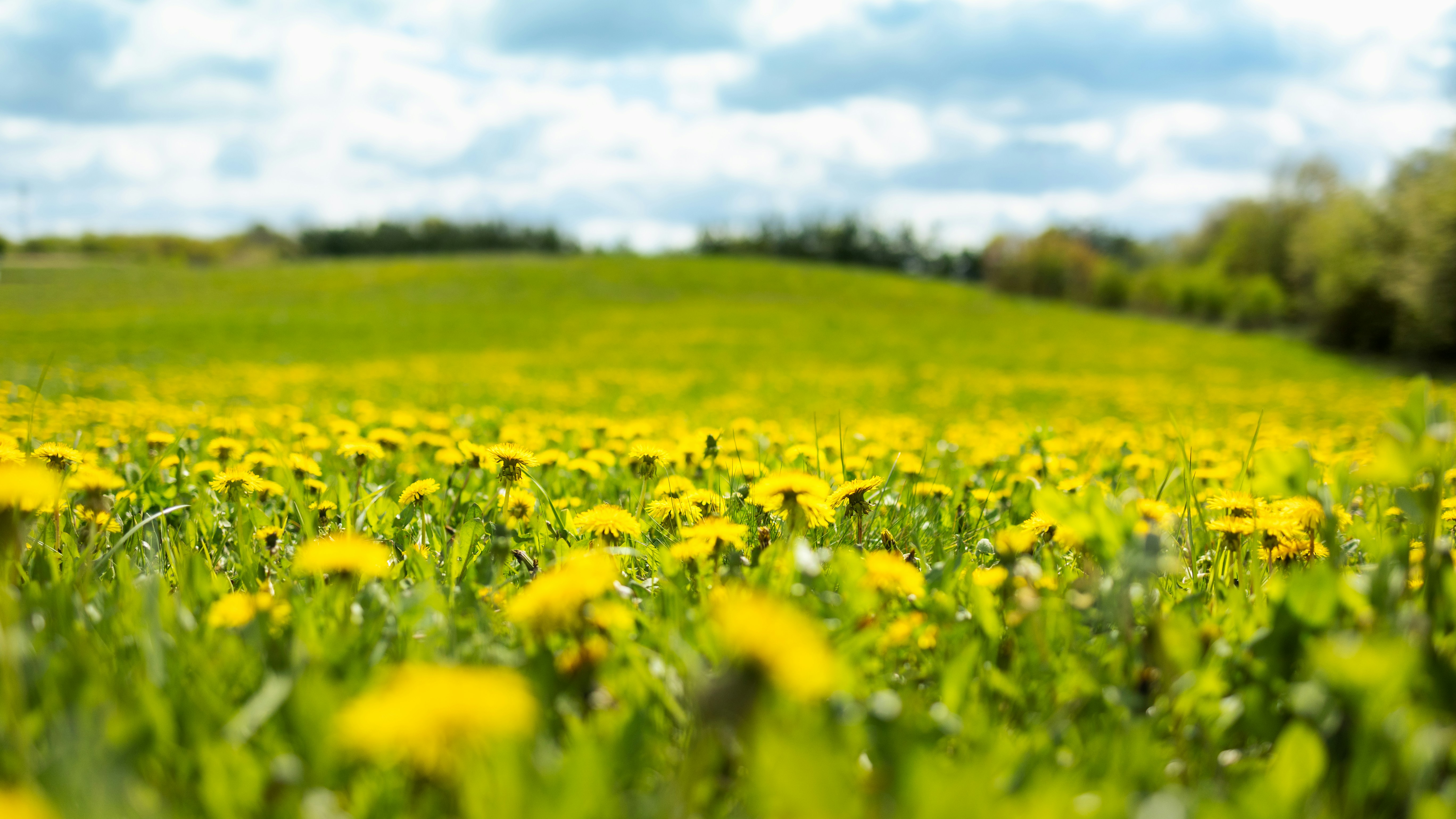 Photo by marekpiwnicki