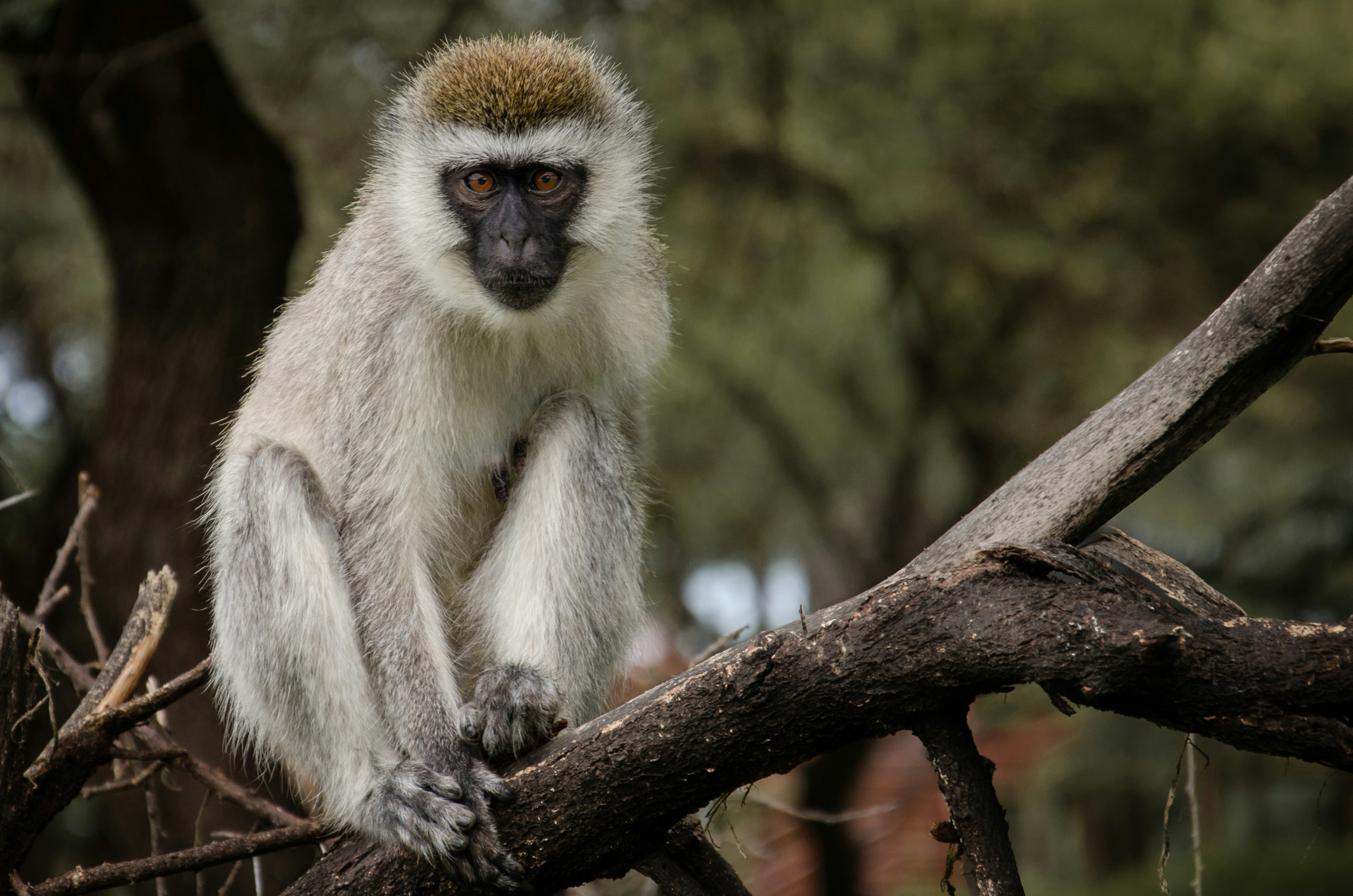 Photo by flotography_91