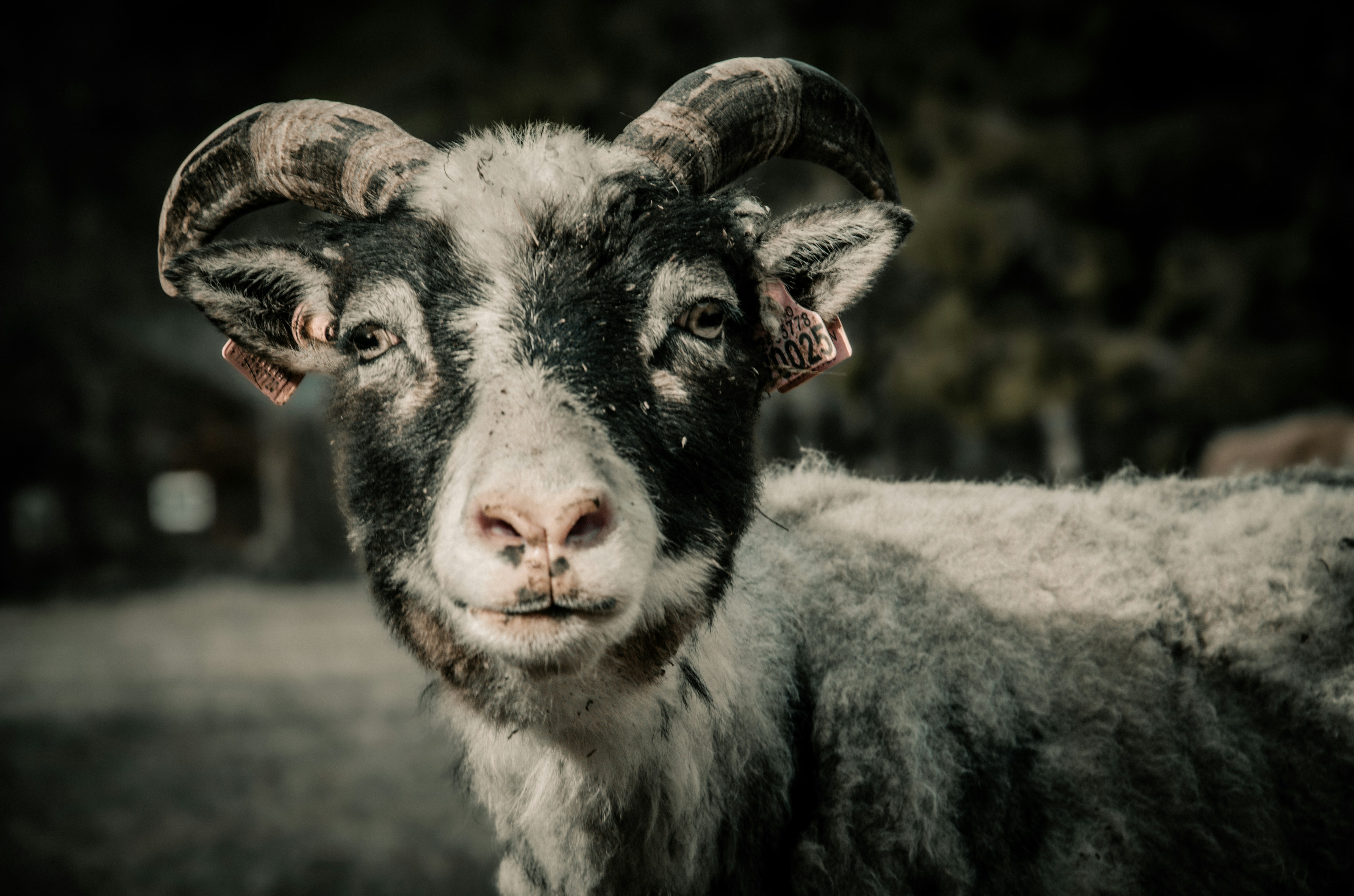 Photo by flotography_91