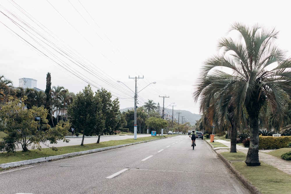 a couple of people walking down a street next to a palm tree