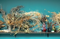 A variety of dried flowers and plants are arranged on a wooden shelf against a teal wall. The display includes multiple vases in different shapes and colors, with plants like eucalyptus, reeds, and seed pods. The composition is artfully curated, blending various textures and shades.