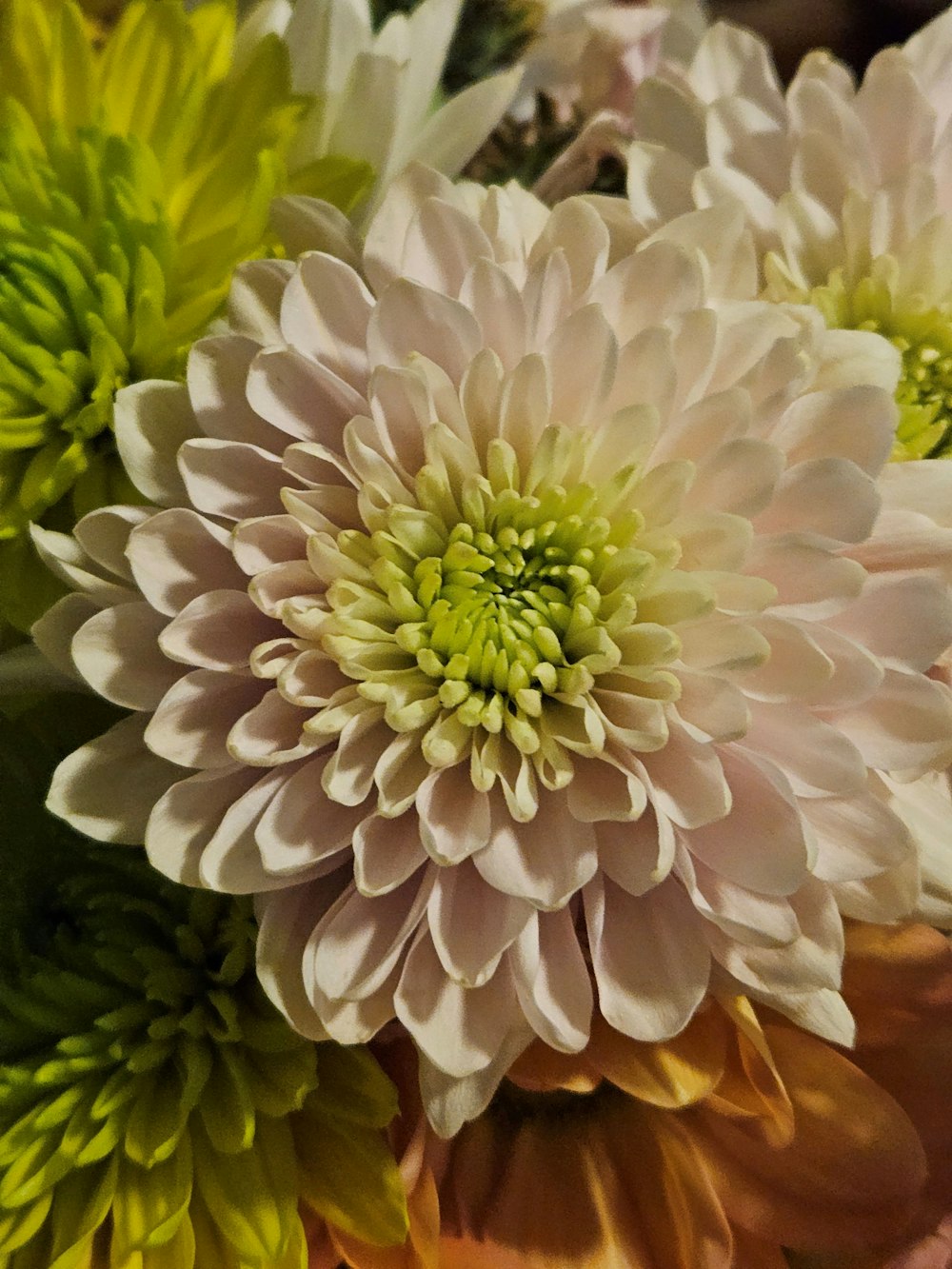 a close up of a bunch of flowers