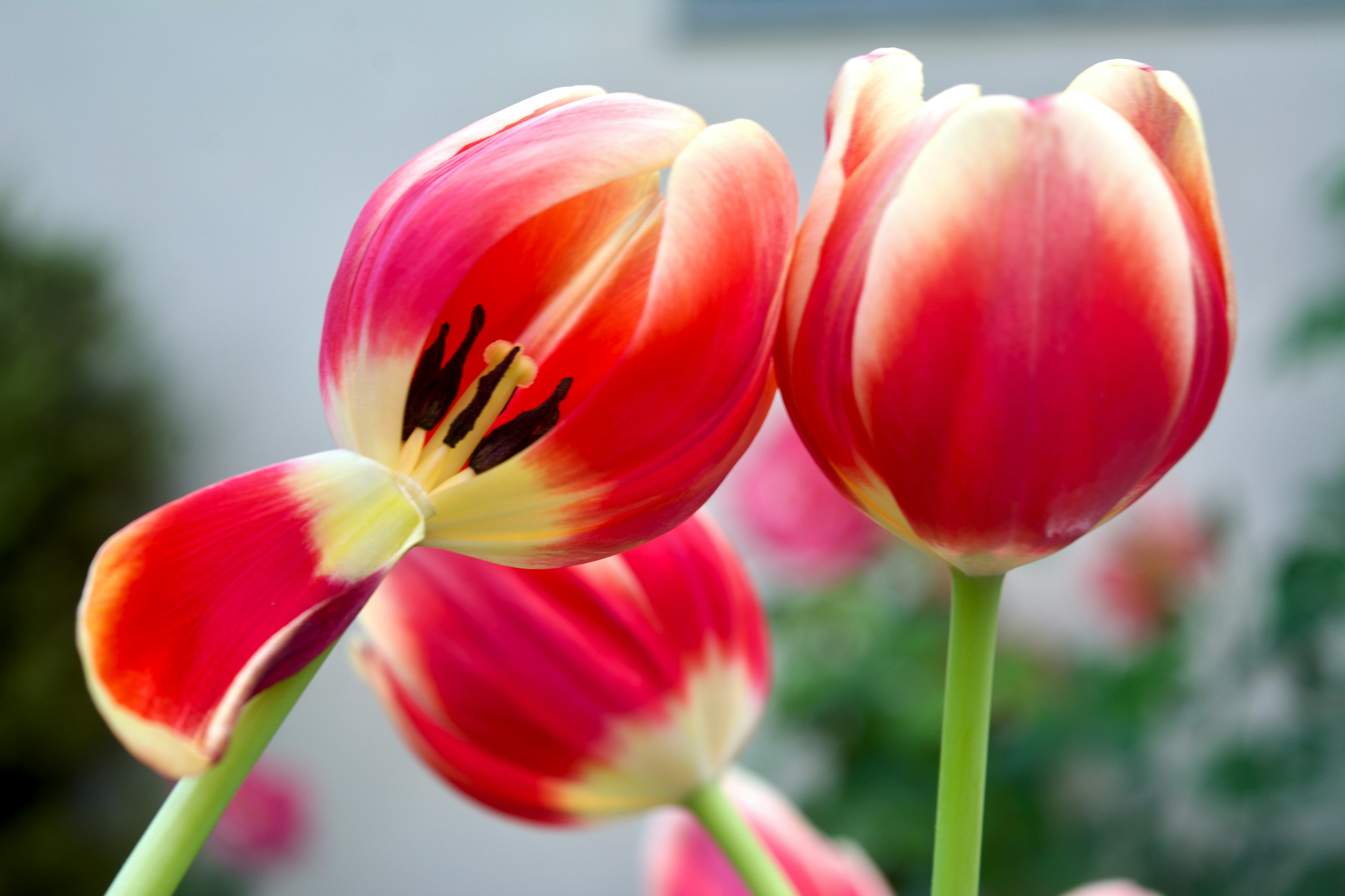 Photo by bymiyashiro