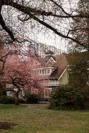 a large house with a lot of trees in front of it