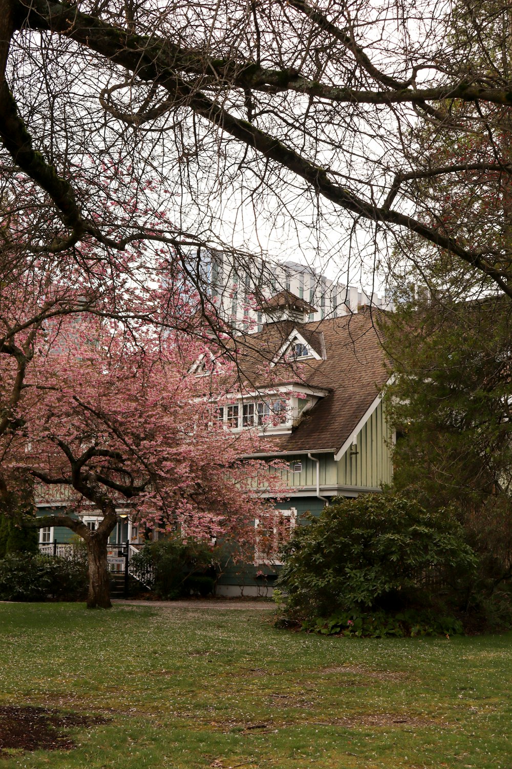 Une grande maison avec beaucoup d’arbres devant elle