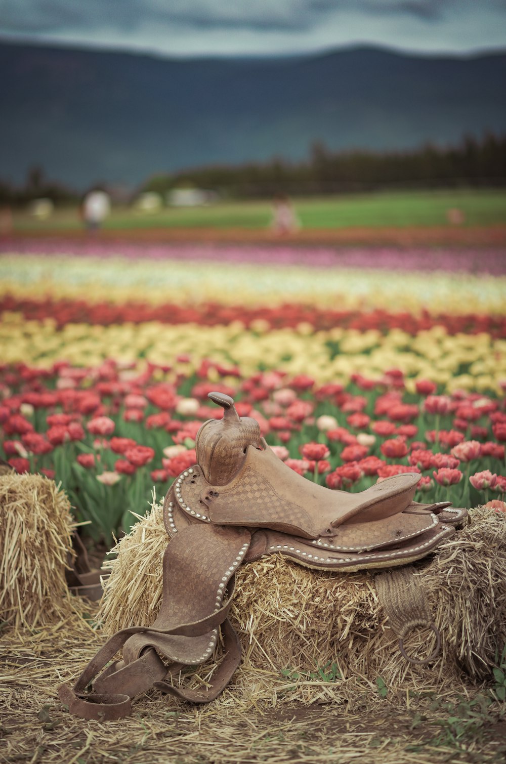 a saddle sits on a bale of hay in a field of flowers