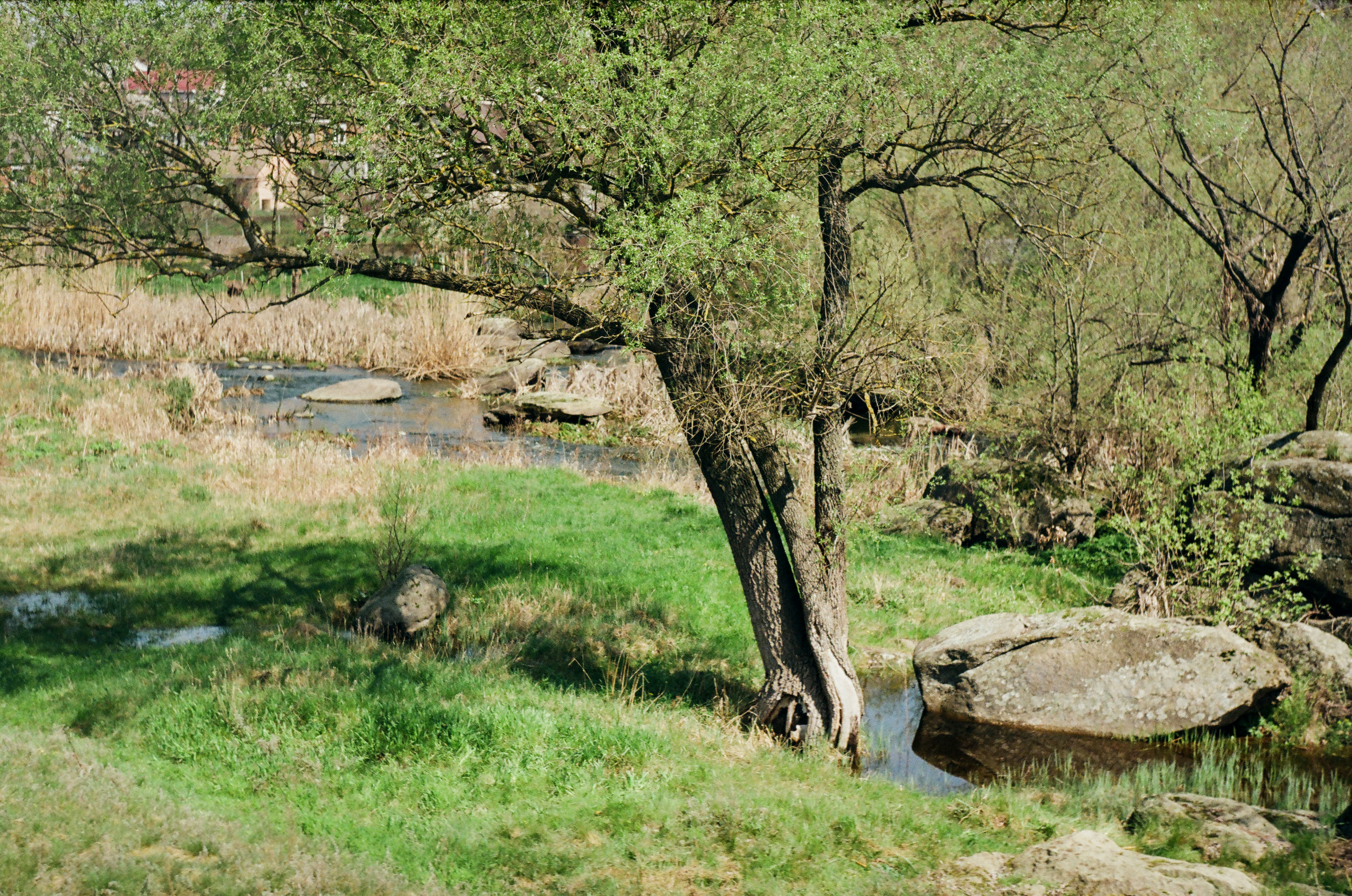 Photo by margarita_ua