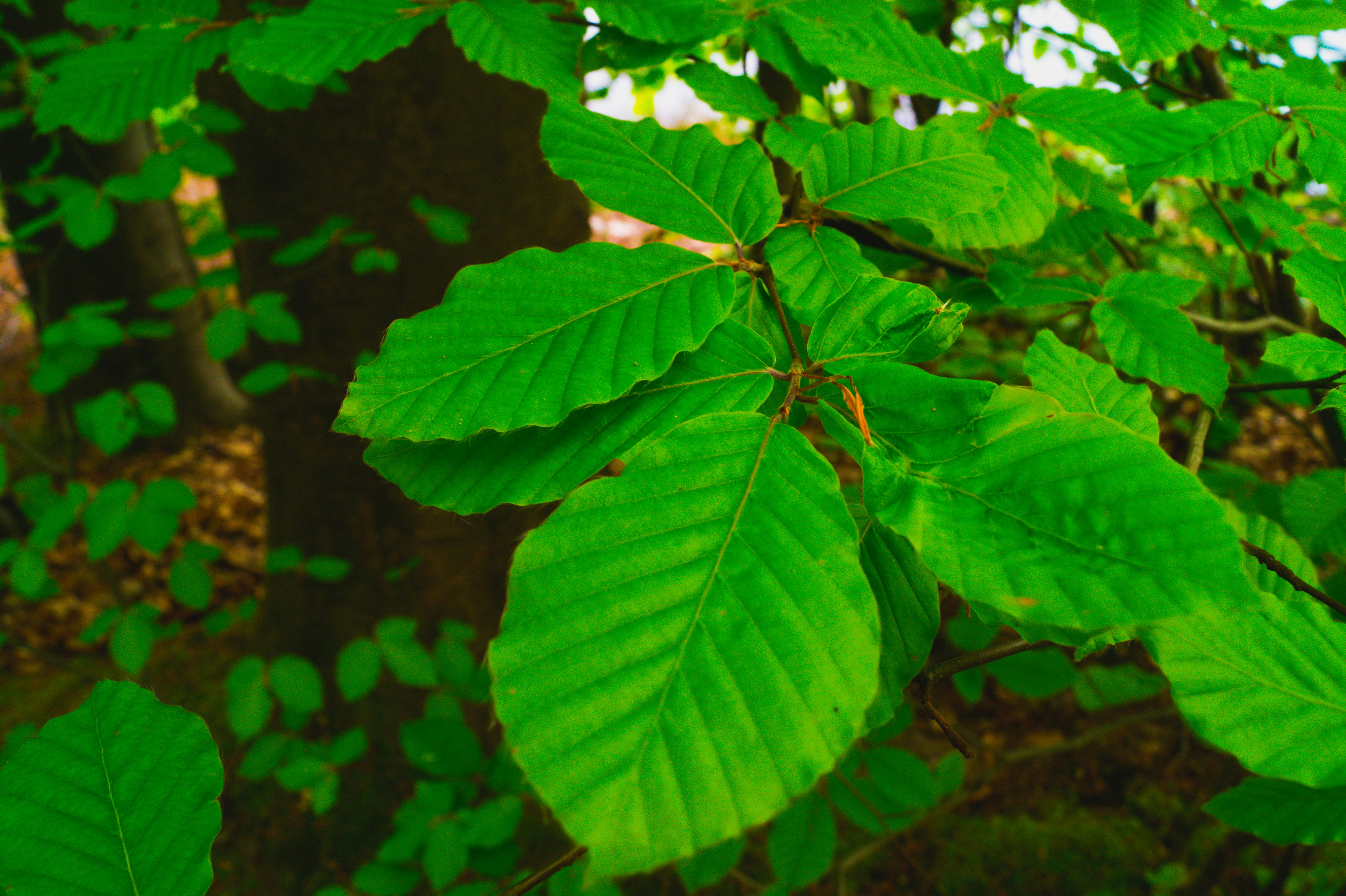 Photo by slfotografie