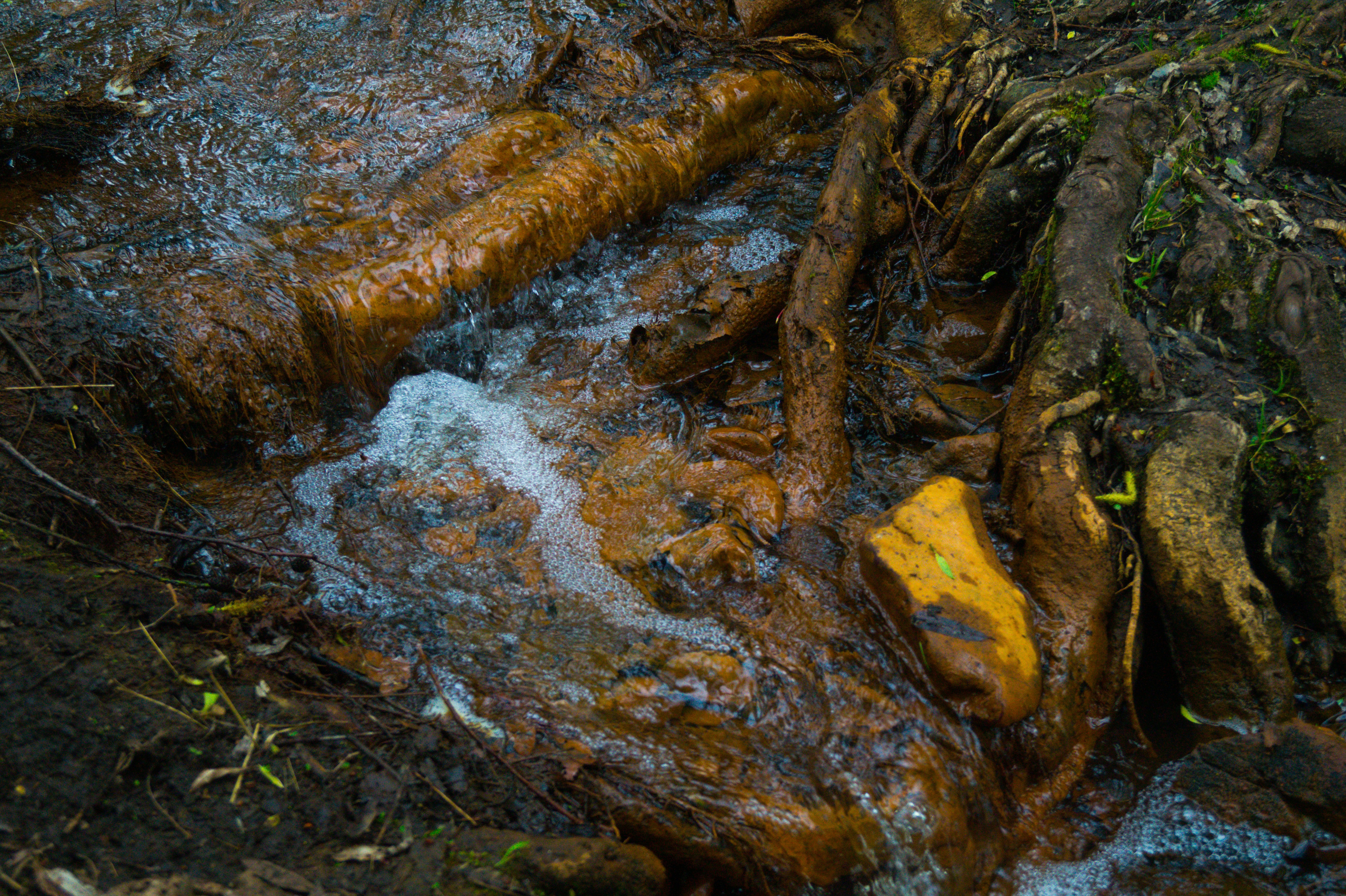 Photo by slfotografie