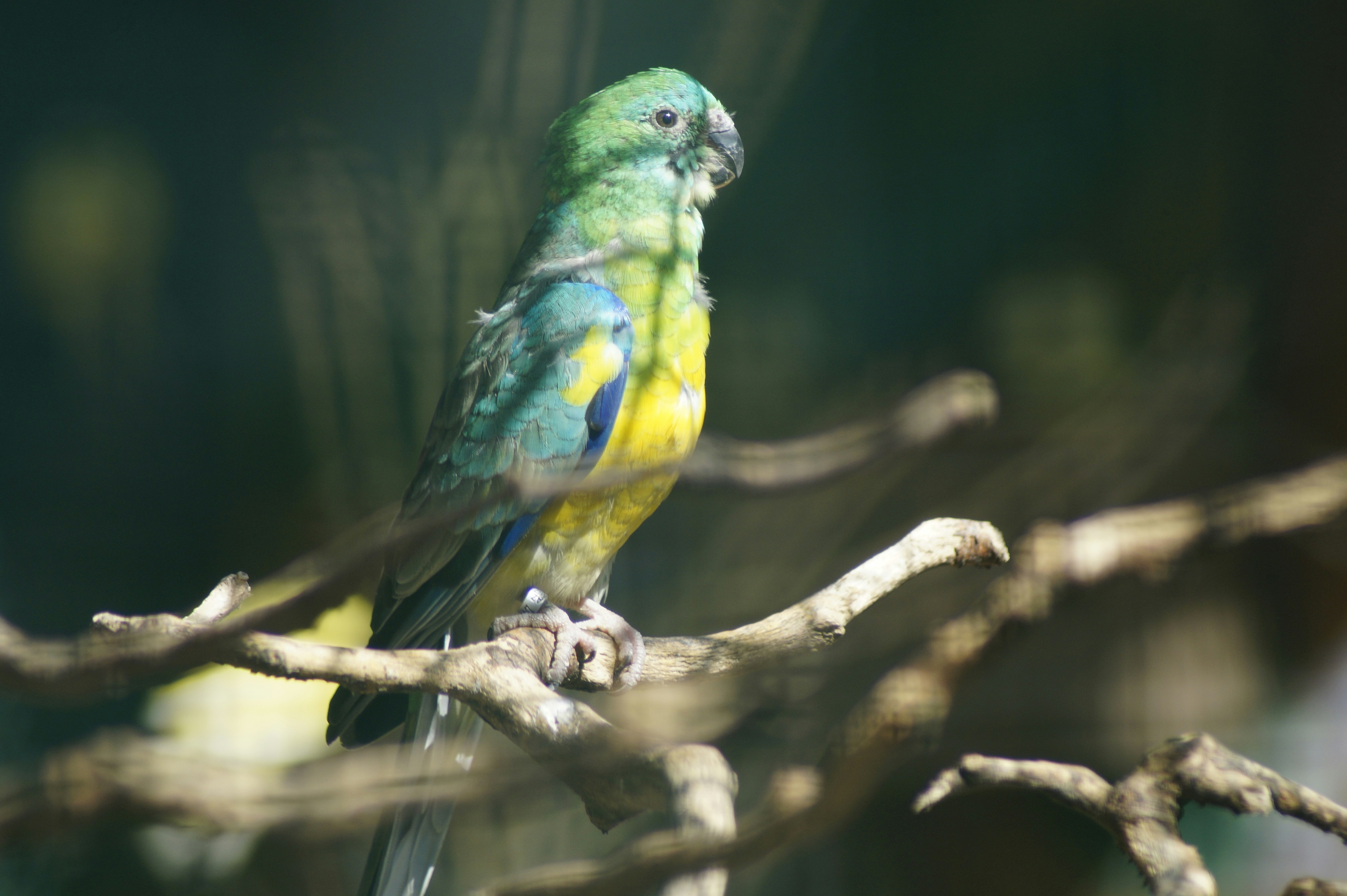 Photo by slfotografie