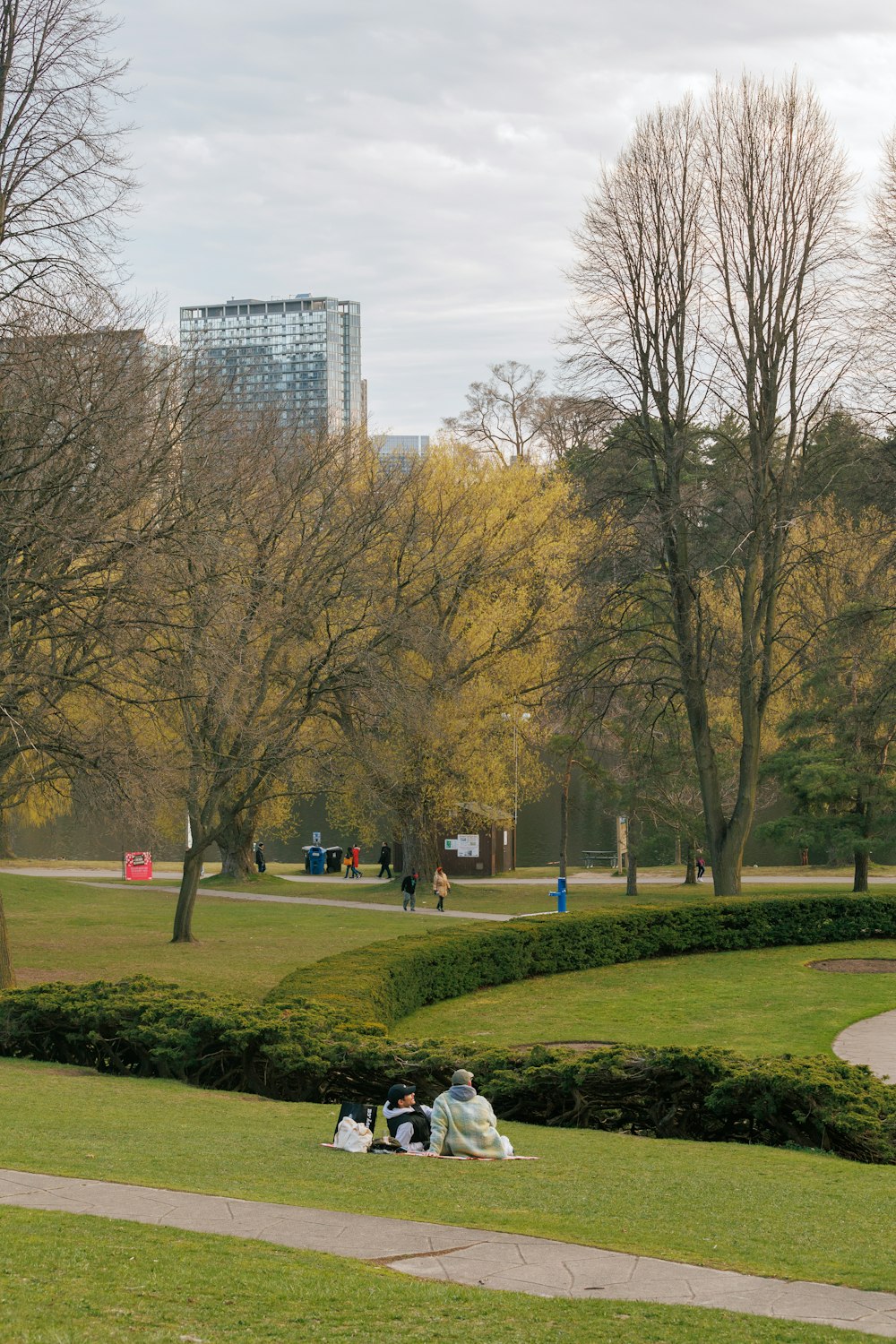 a group of people sitting on top of a lush green park