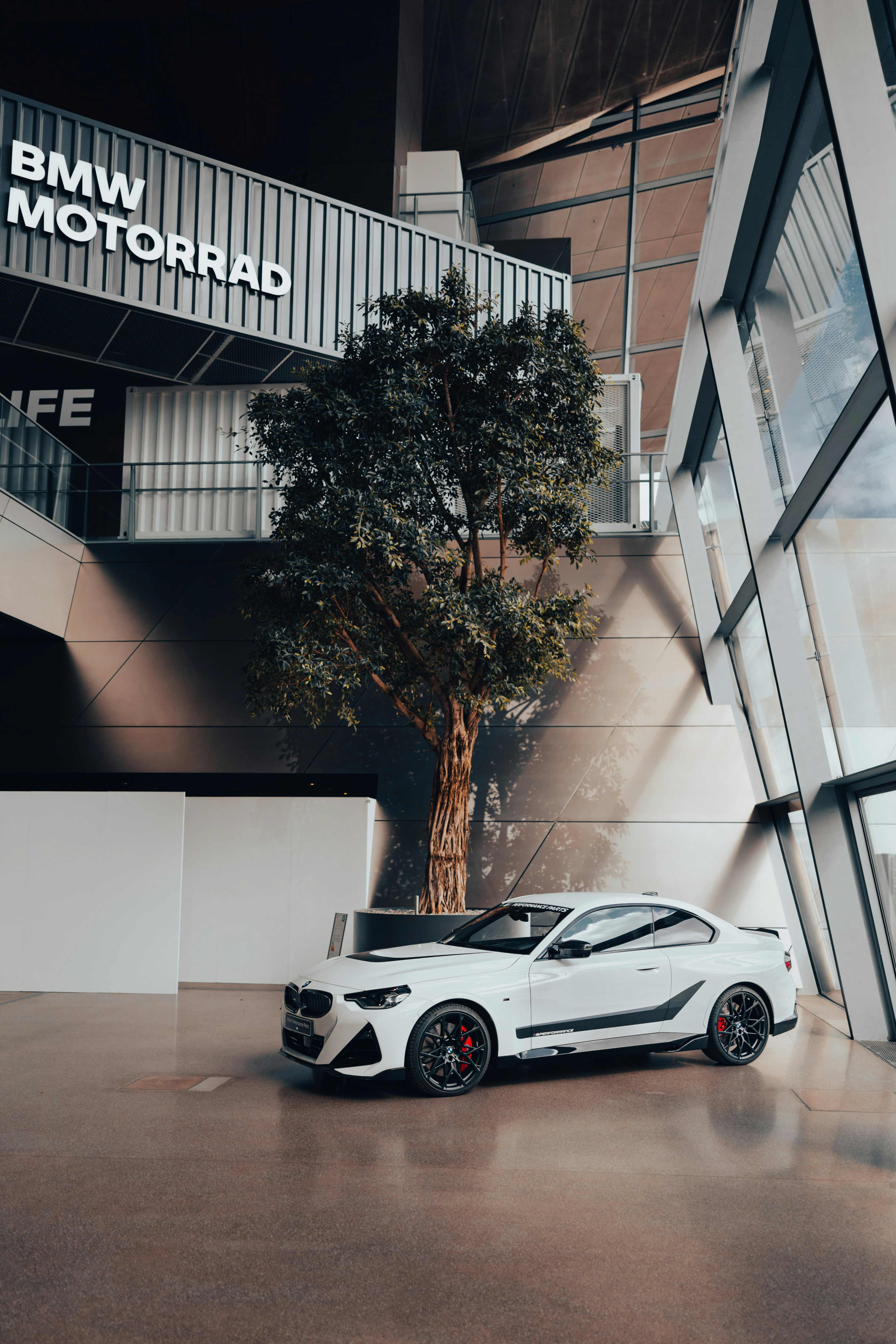 Photo by lorenzohamers