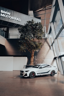 A sleek white car is parked indoors beside a large potted tree. Overhead, the architectural design features large, angular windows allowing natural light to cast shadows. A sign reading 'BMW MOTORRAD' is visible on a balcony.